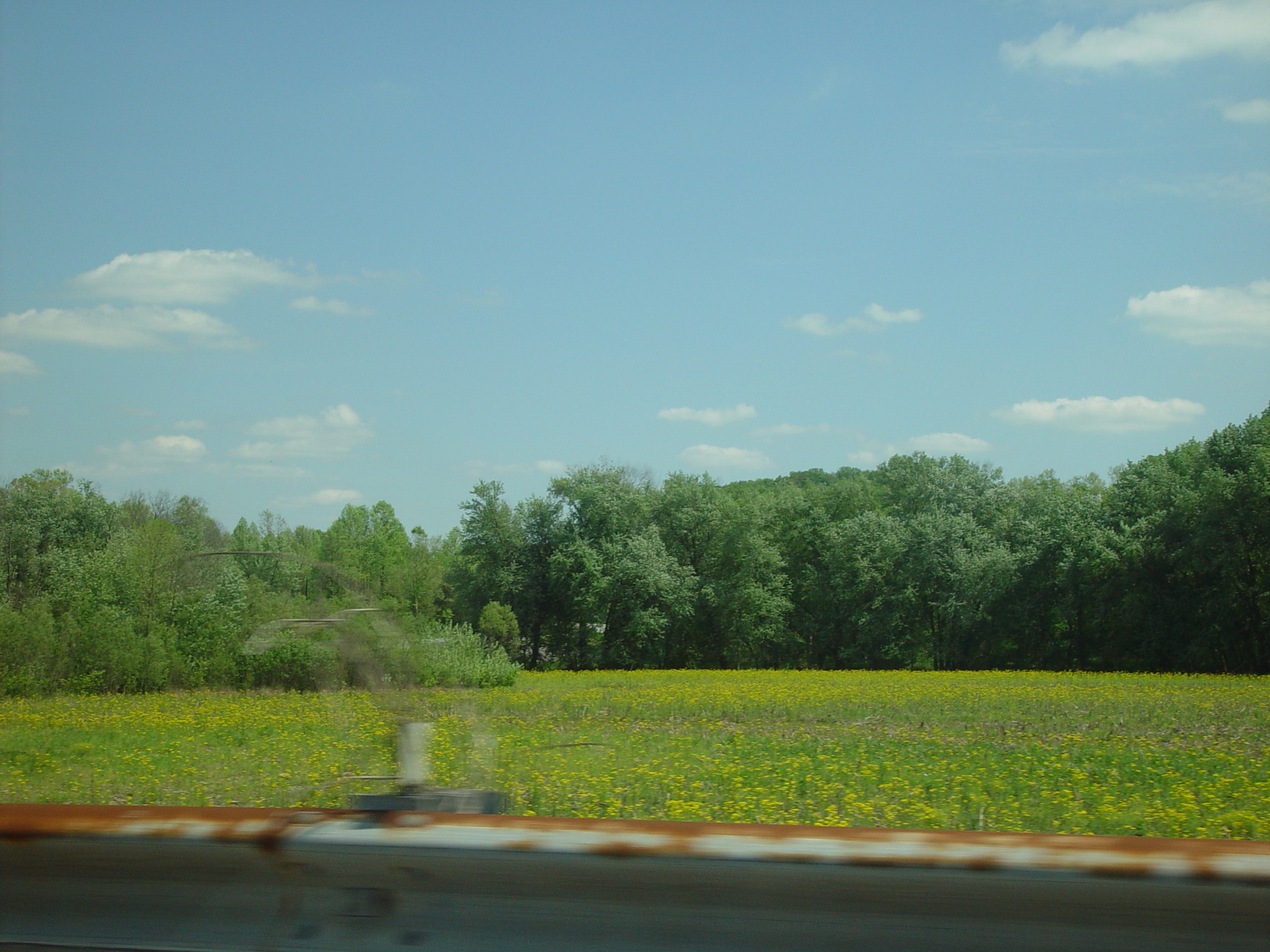 Indiana Trip - Indiana - Bloomington (Indiana University, Vanessa's Graduation, Bob Evans), Nashville (Sweet Potato Fries)