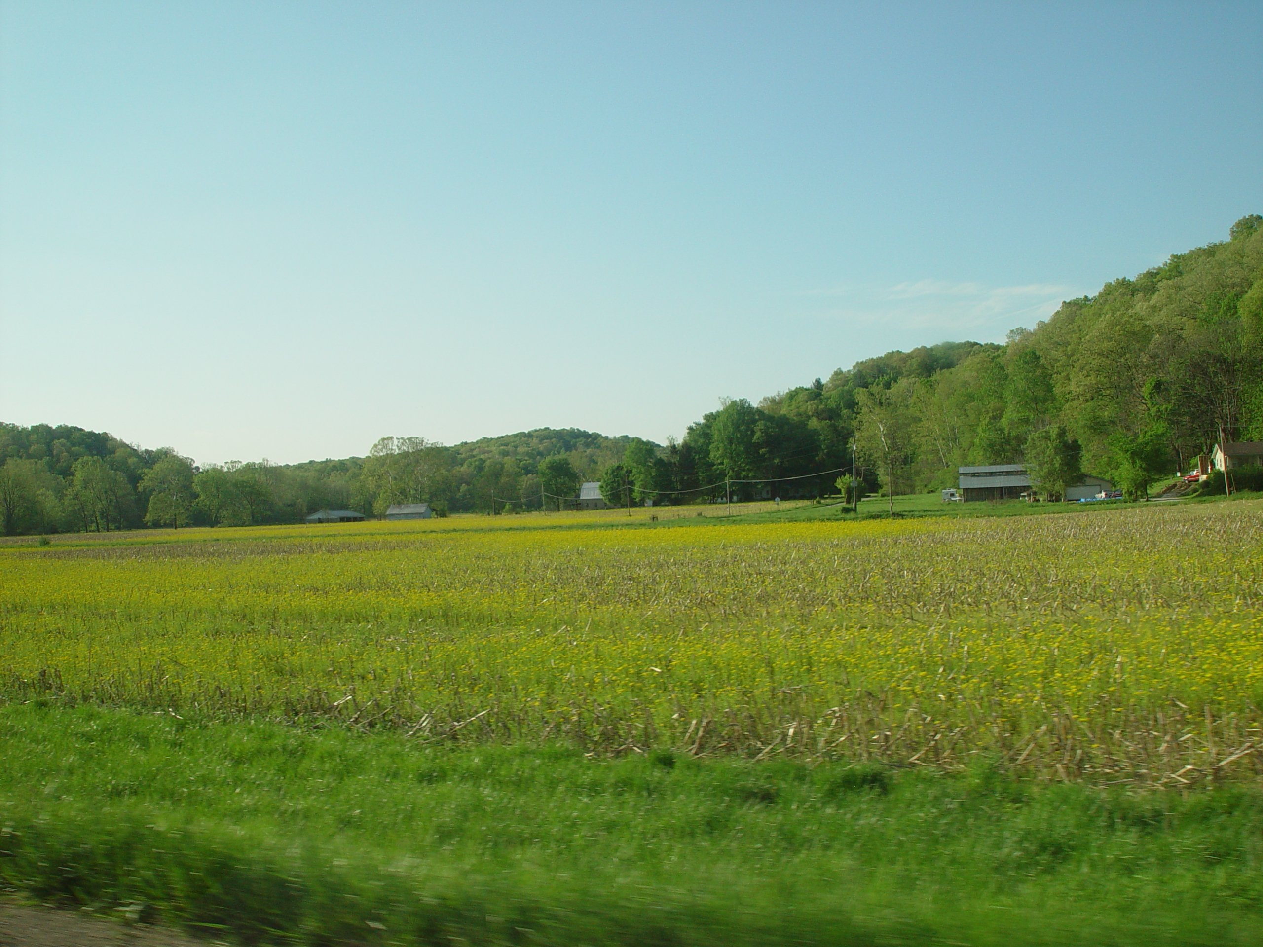 Indiana Trip - Indiana - Bloomington (Indiana University, Vanessa's Graduation, Bob Evans), Nashville (Sweet Potato Fries)