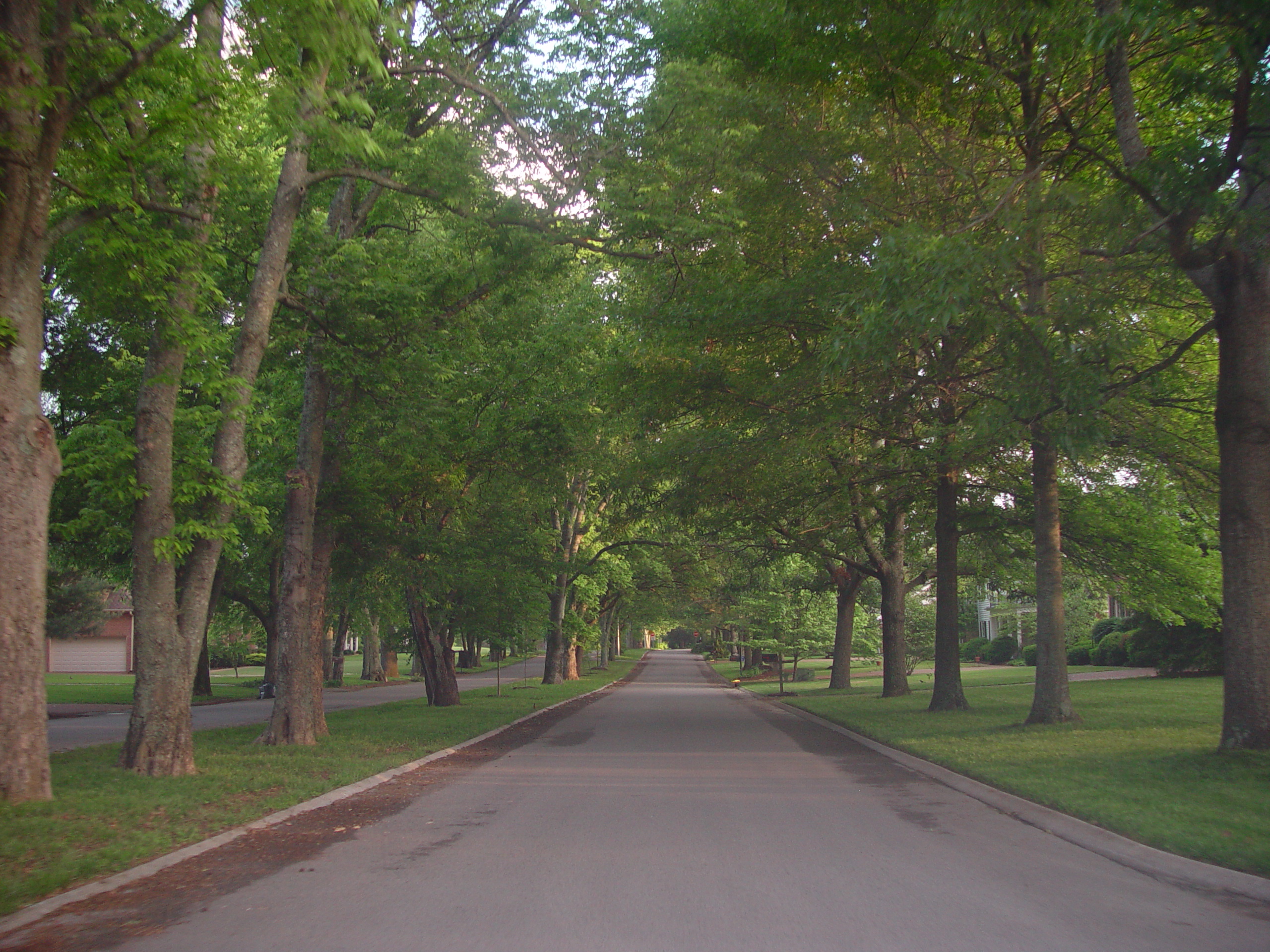 Indiana Trip - Tennessee, Alabama, Mississippi - Nashville, Franklin (Confederate Cemetary) Birmingham, Jackson