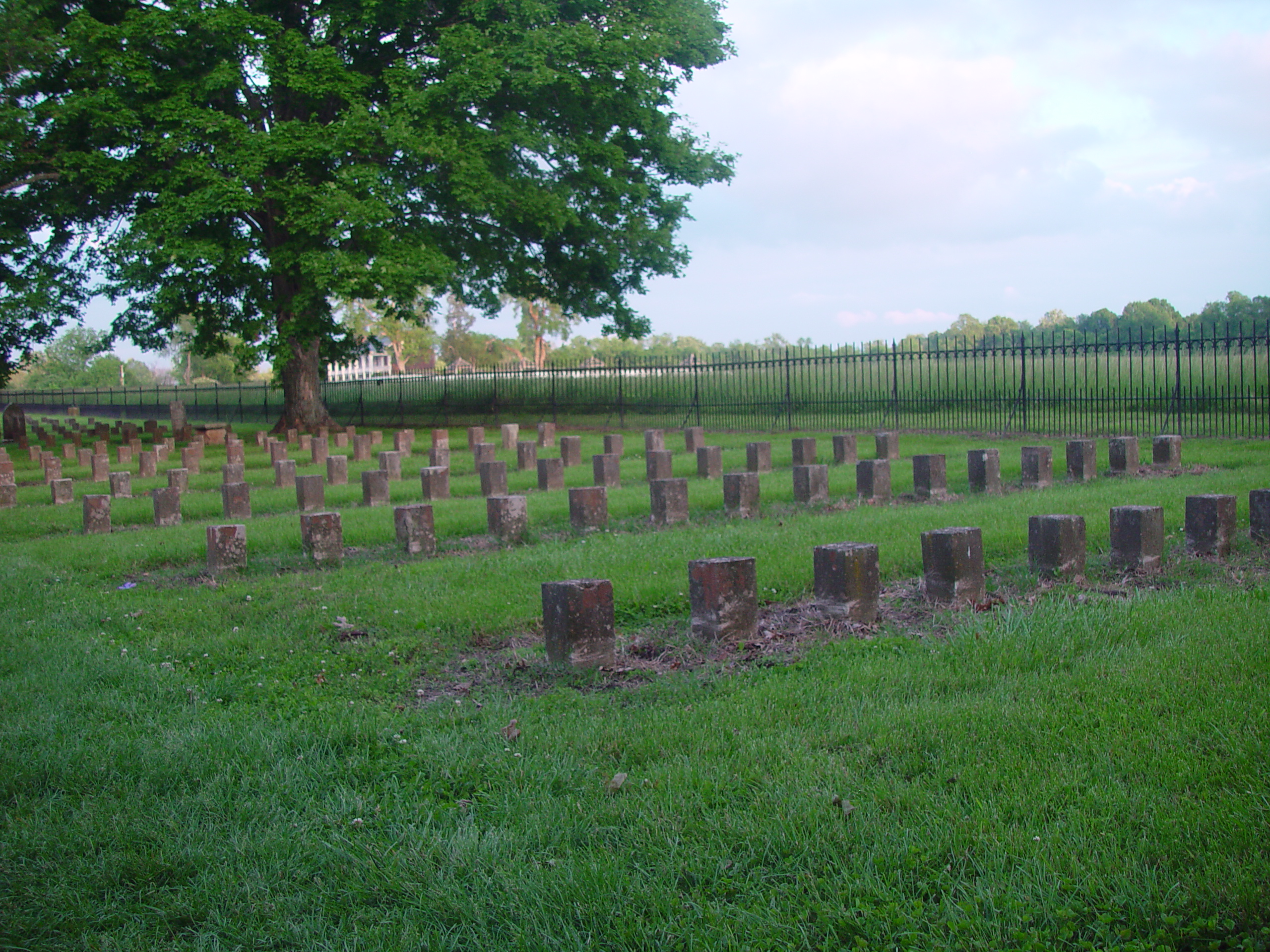 Indiana Trip - Tennessee, Alabama, Mississippi - Nashville, Franklin (Confederate Cemetary) Birmingham, Jackson