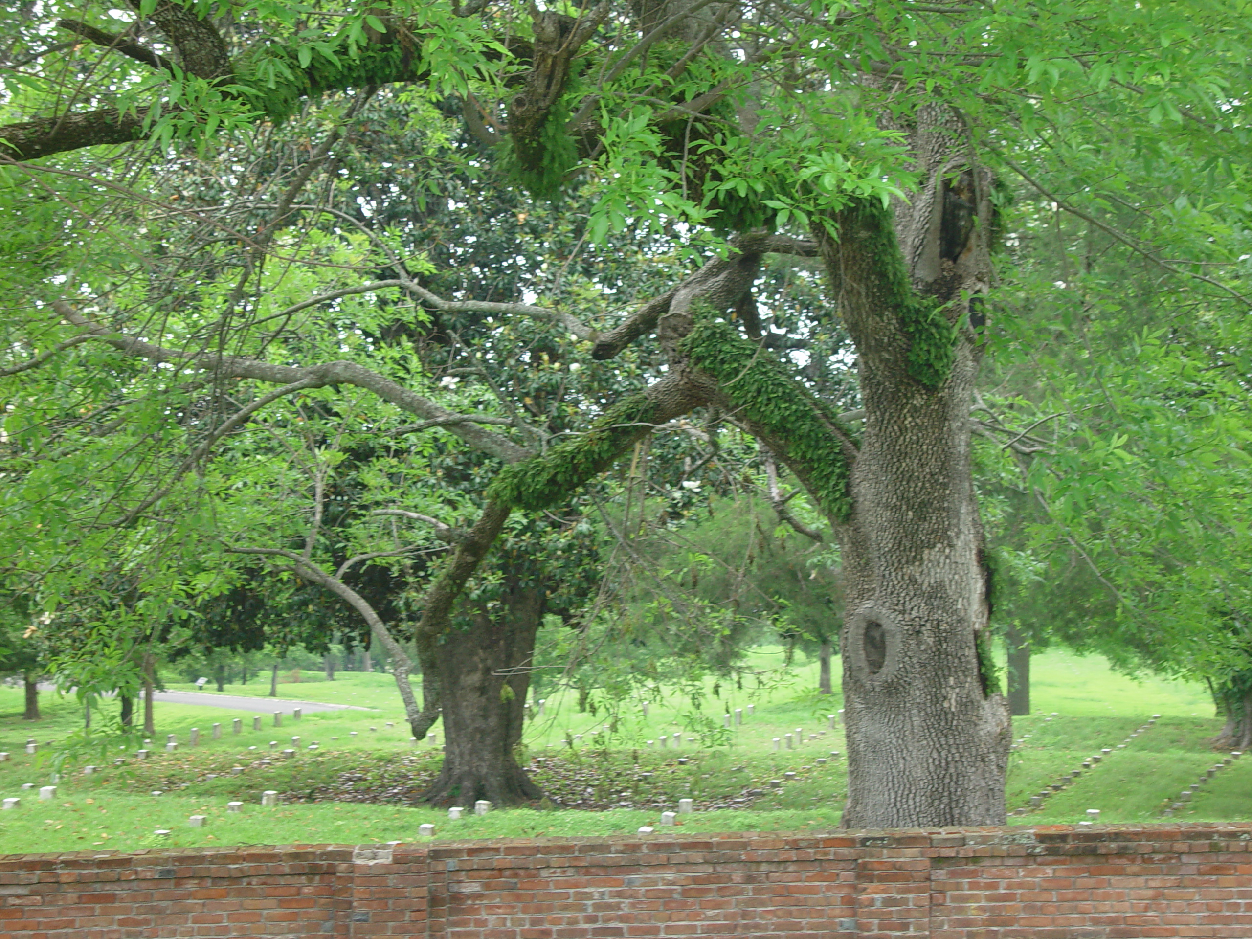 Indiana Trip - Mississippi, Louisiana, Texas - Vicksburg (National Military Park, Cedar Grove Mansion, Coca-Cola Museum)