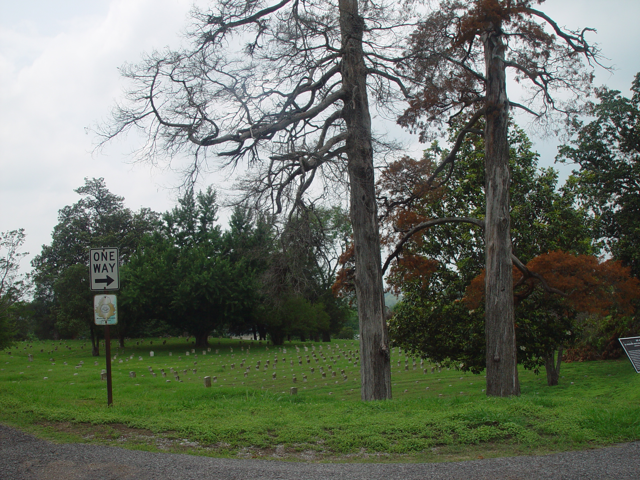 Indiana Trip - Mississippi, Louisiana, Texas - Vicksburg (National Military Park, Cedar Grove Mansion, Coca-Cola Museum)