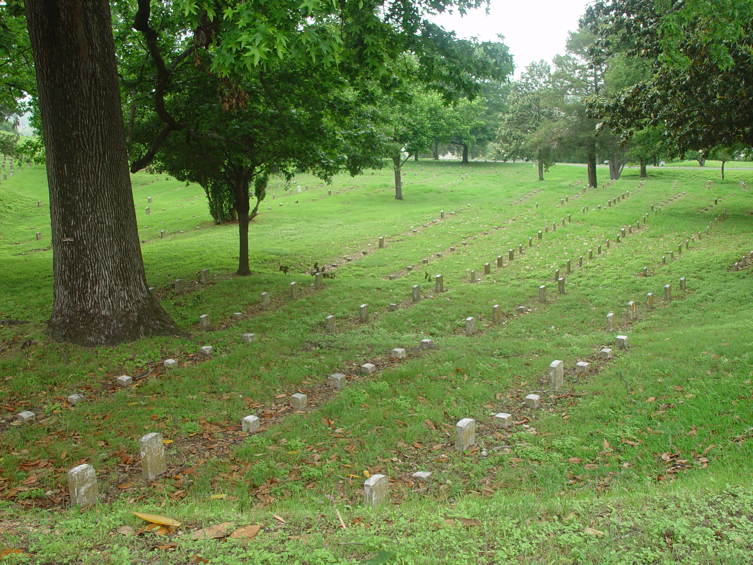 Indiana Trip - Mississippi, Louisiana, Texas - Vicksburg (National Military Park, Cedar Grove Mansion, Coca-Cola Museum)