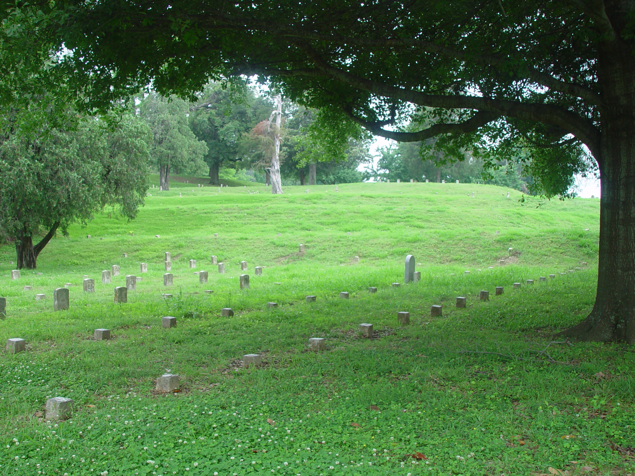 Indiana Trip - Mississippi, Louisiana, Texas - Vicksburg (National Military Park, Cedar Grove Mansion, Coca-Cola Museum)