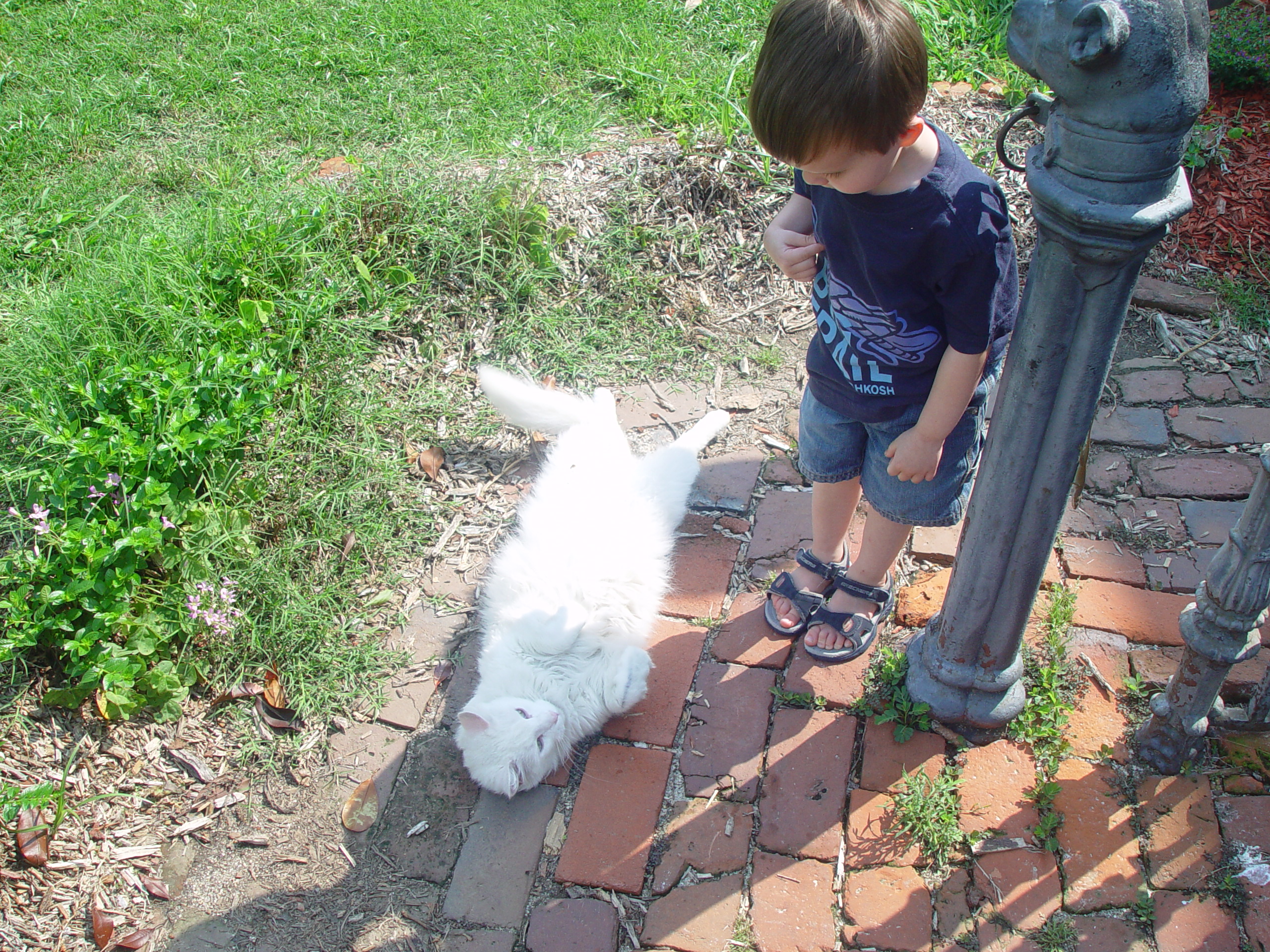 Indiana Trip - Mississippi, Louisiana, Texas - Vicksburg (National Military Park, Cedar Grove Mansion, Coca-Cola Museum)