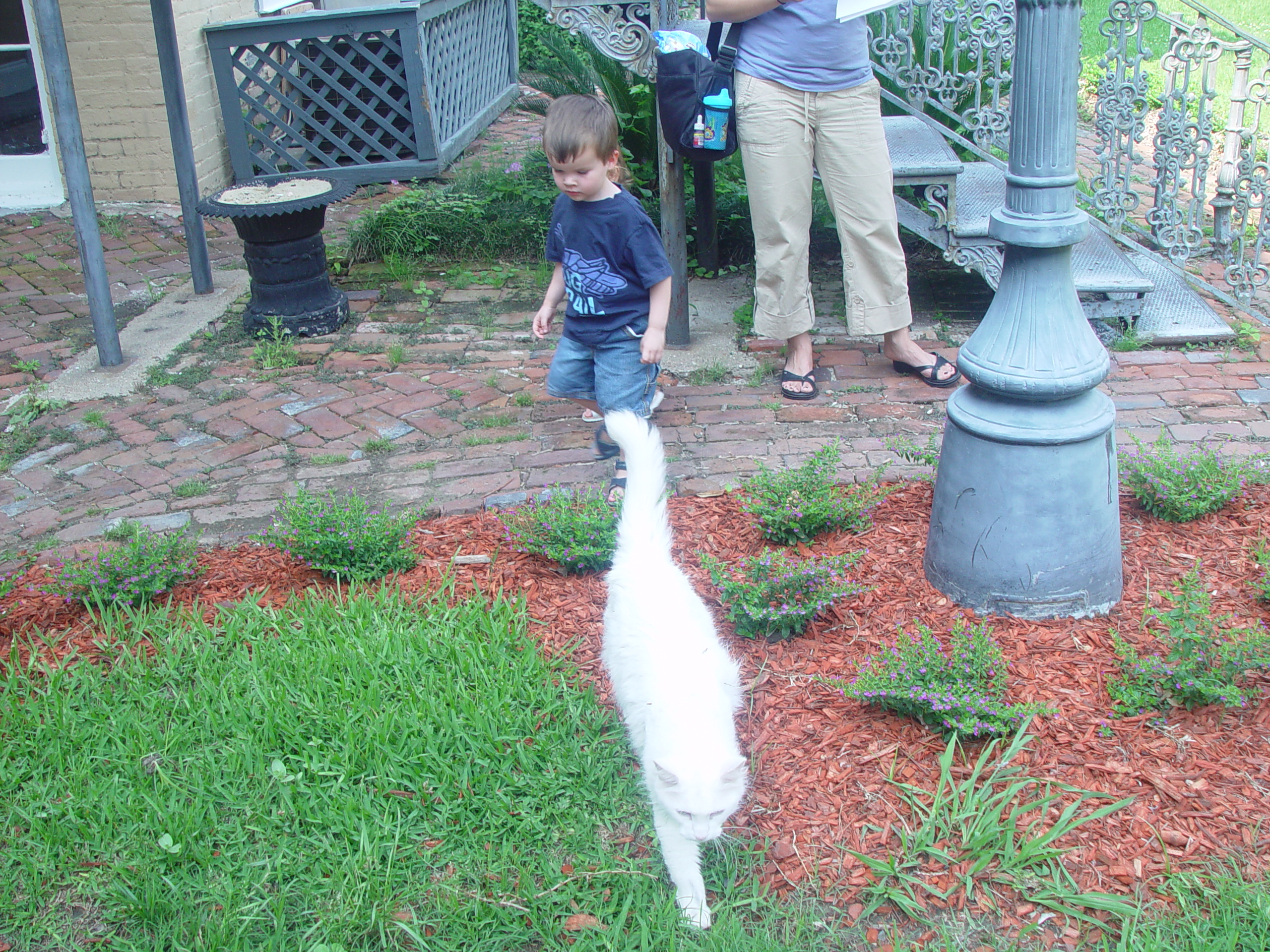Indiana Trip - Mississippi, Louisiana, Texas - Vicksburg (National Military Park, Cedar Grove Mansion, Coca-Cola Museum)