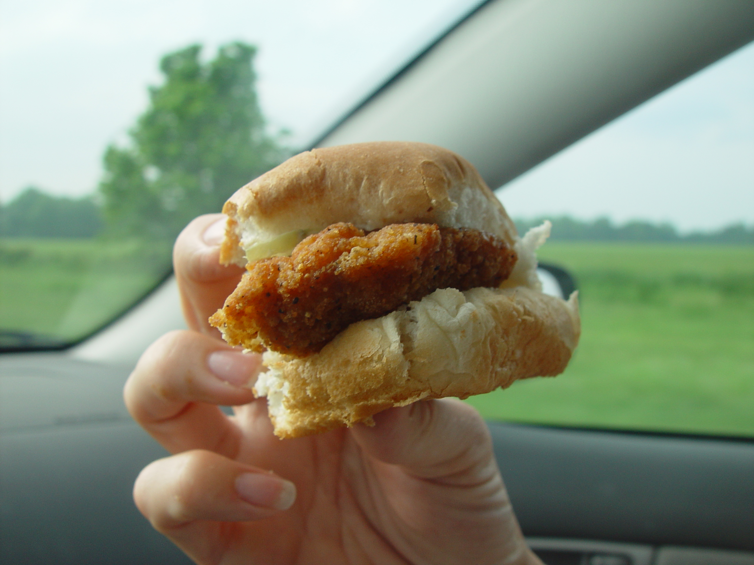 Indiana Trip - Mississippi, Louisiana, Texas - Vicksburg (National Military Park, Cedar Grove Mansion, Coca-Cola Museum)