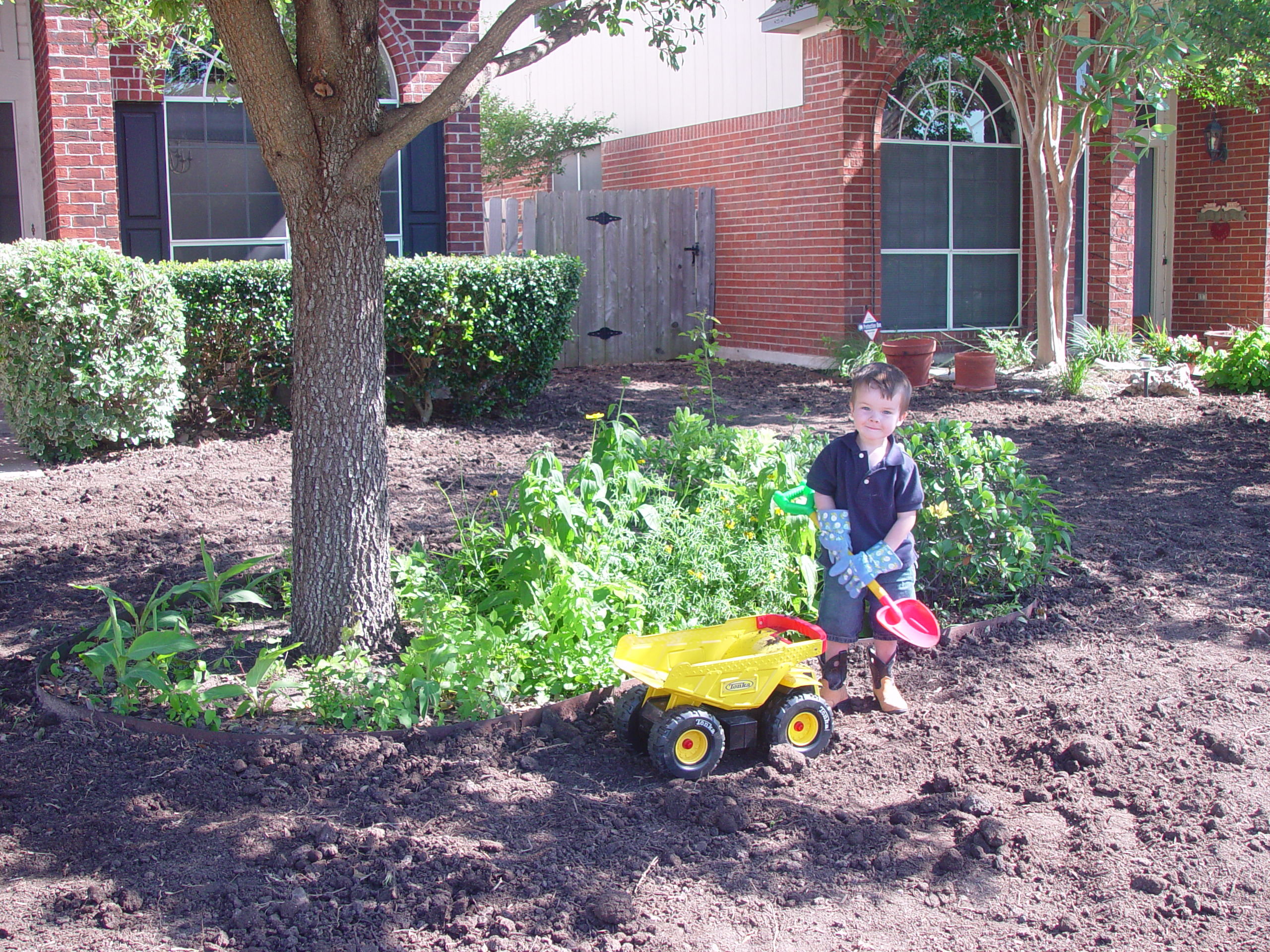 Fixing the Fence & Laying New St. Augustine Sod