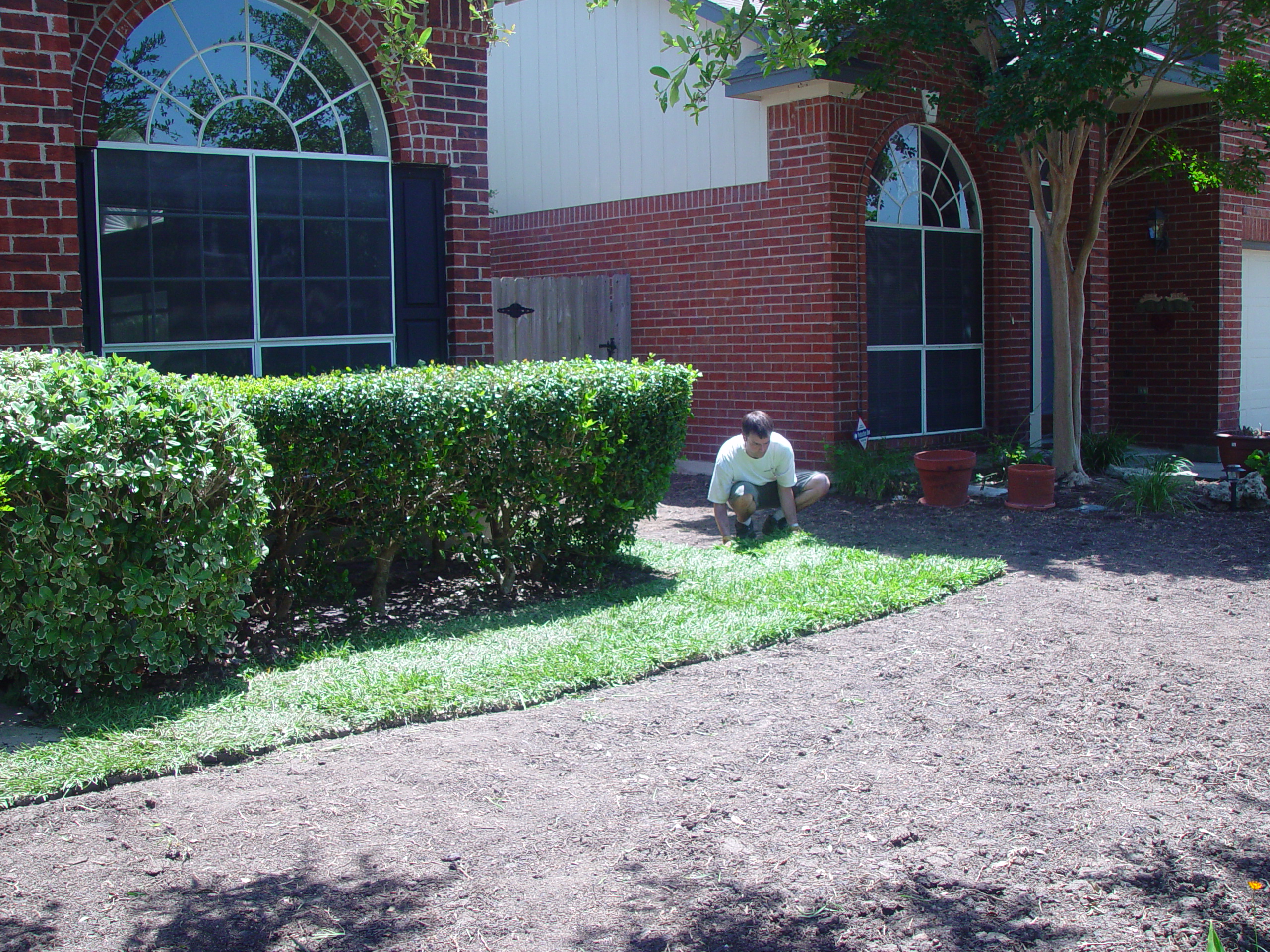 Fixing the Fence & Laying New St. Augustine Sod