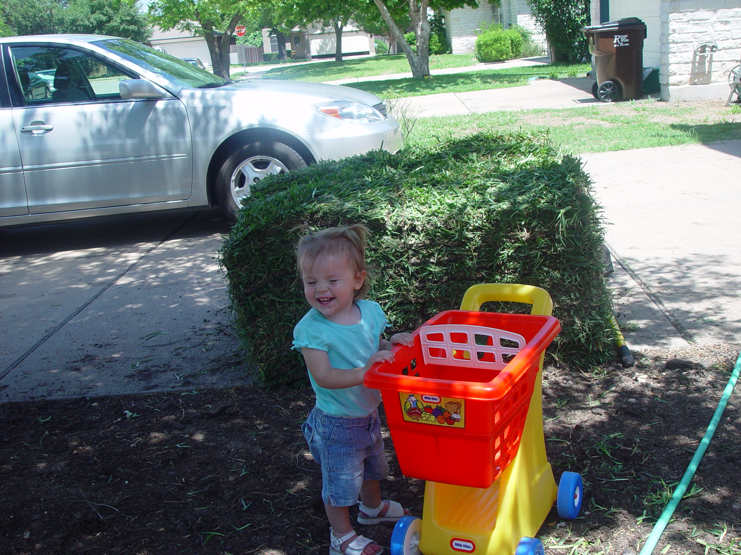 Fixing the Fence & Laying New St. Augustine Sod