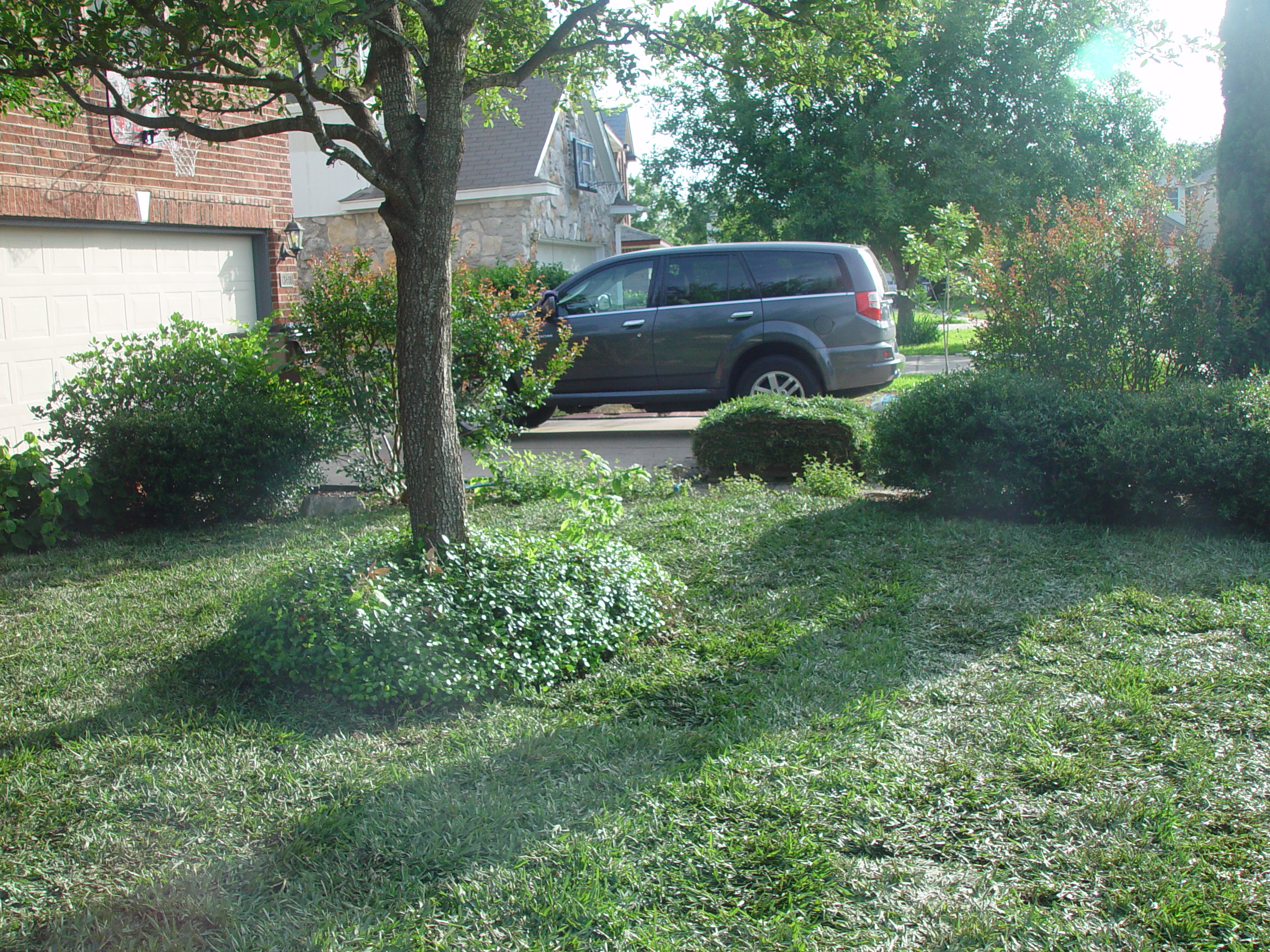 Fixing the Fence & Laying New St. Augustine Sod