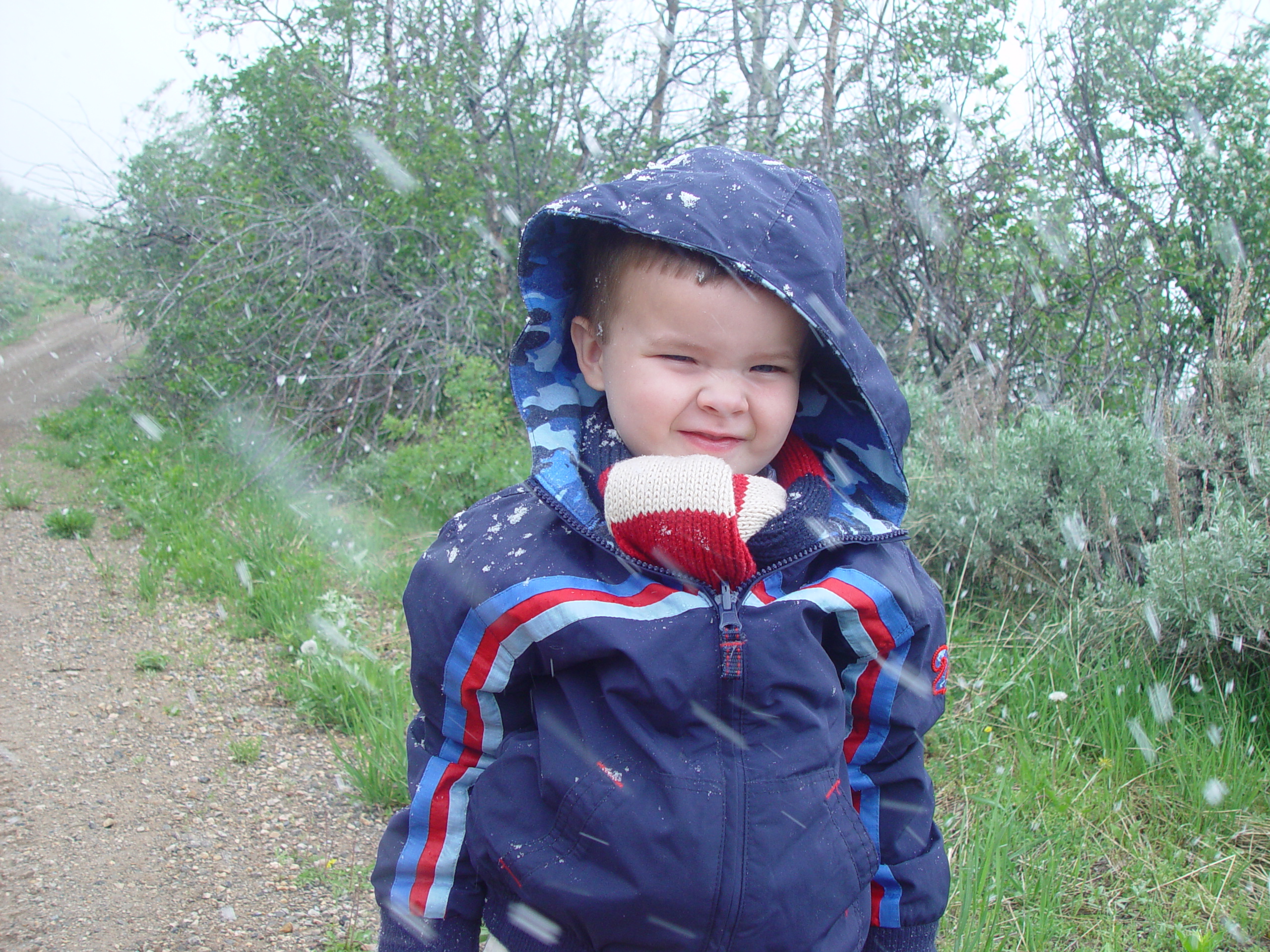 Memorial Day 2006 - Logan, Utah - Ballam BBQ, Snow at Bear Lake Cabin, Mortensens, Tennis