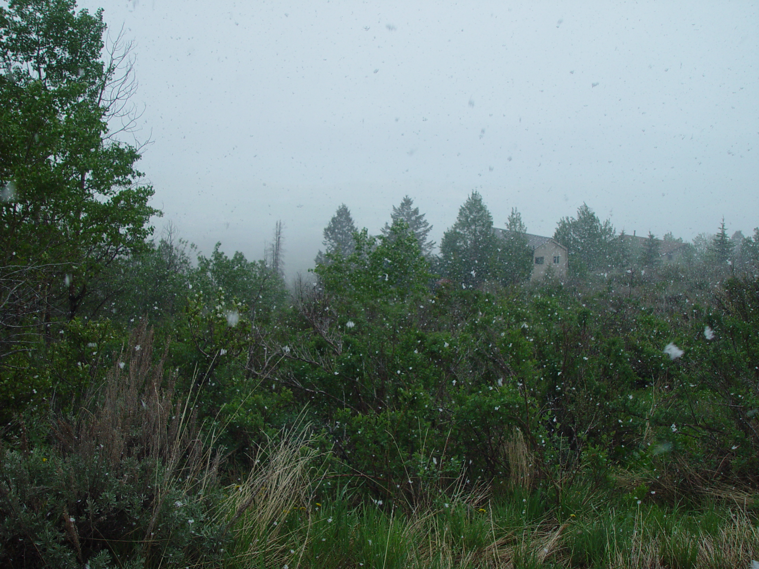 Memorial Day 2006 - Logan, Utah - Ballam BBQ, Snow at Bear Lake Cabin, Mortensens, Tennis