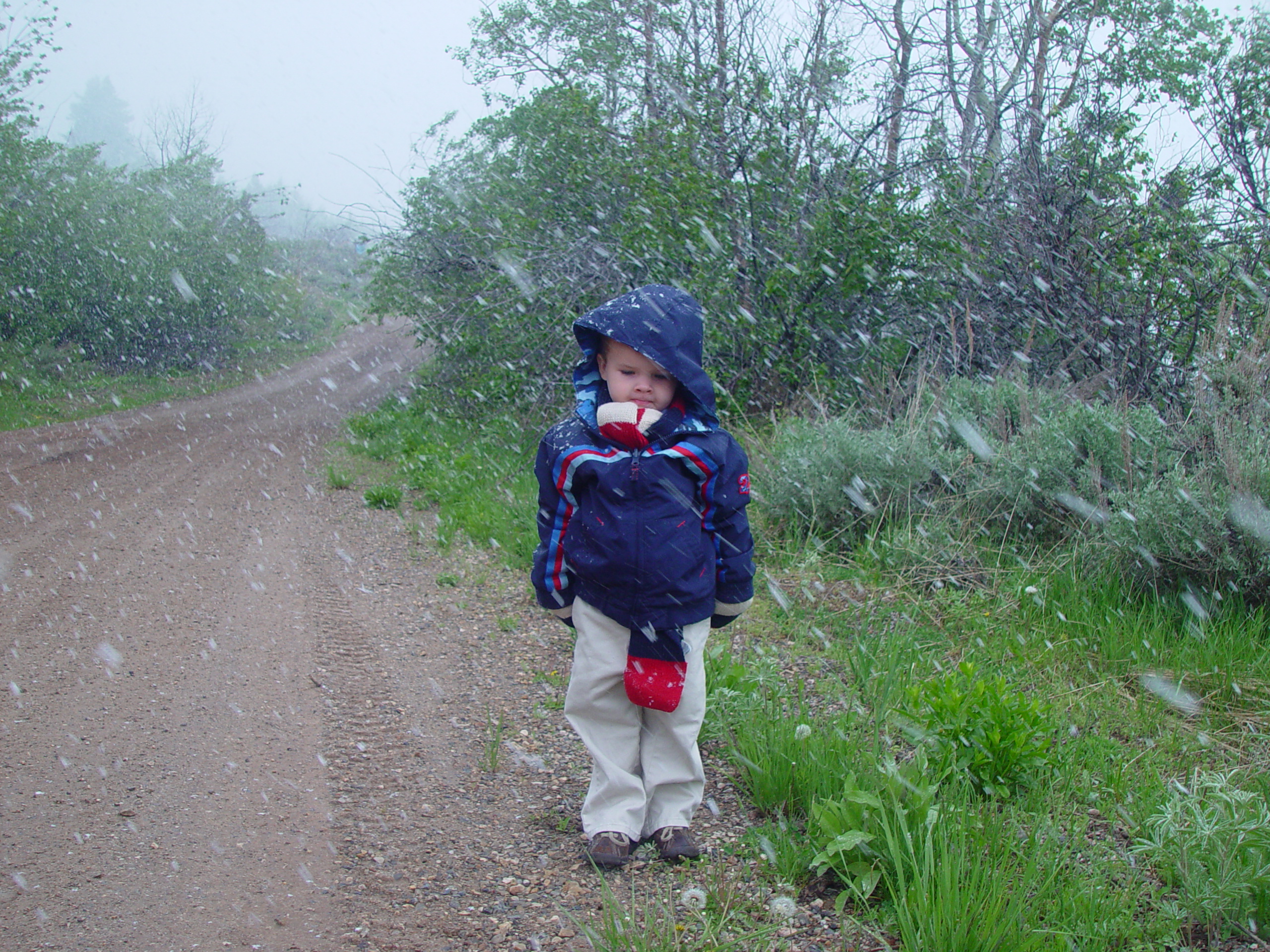 Memorial Day 2006 - Logan, Utah - Ballam BBQ, Snow at Bear Lake Cabin, Mortensens, Tennis