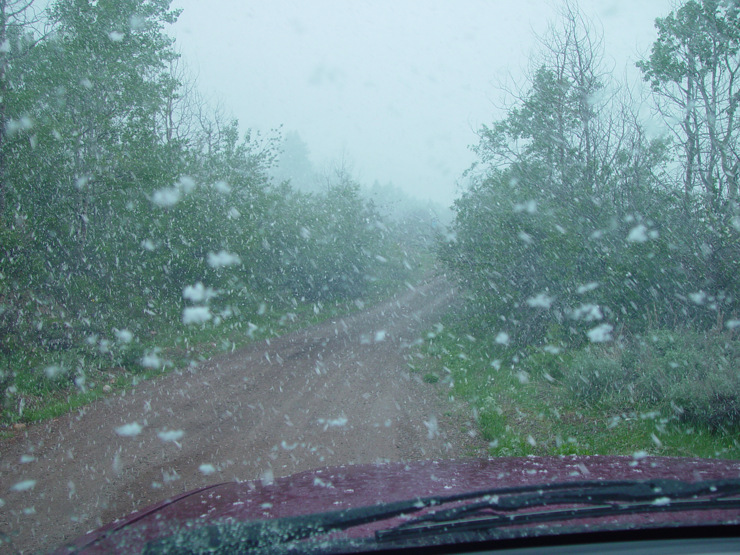 Memorial Day 2006 - Logan, Utah - Ballam BBQ, Snow at Bear Lake Cabin, Mortensens, Tennis