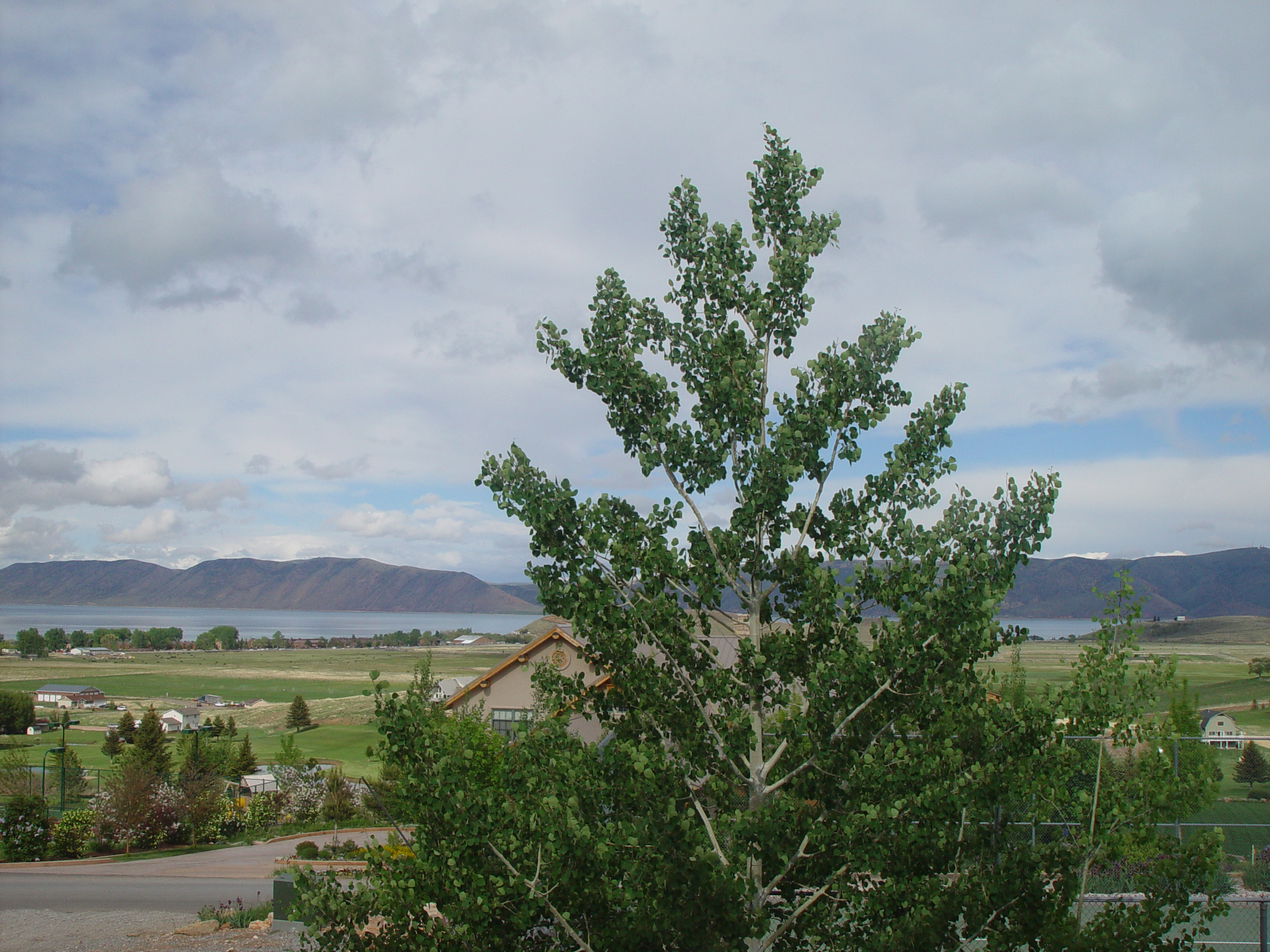 Memorial Day 2006 - Logan, Utah - Ballam BBQ, Snow at Bear Lake Cabin, Mortensens, Tennis