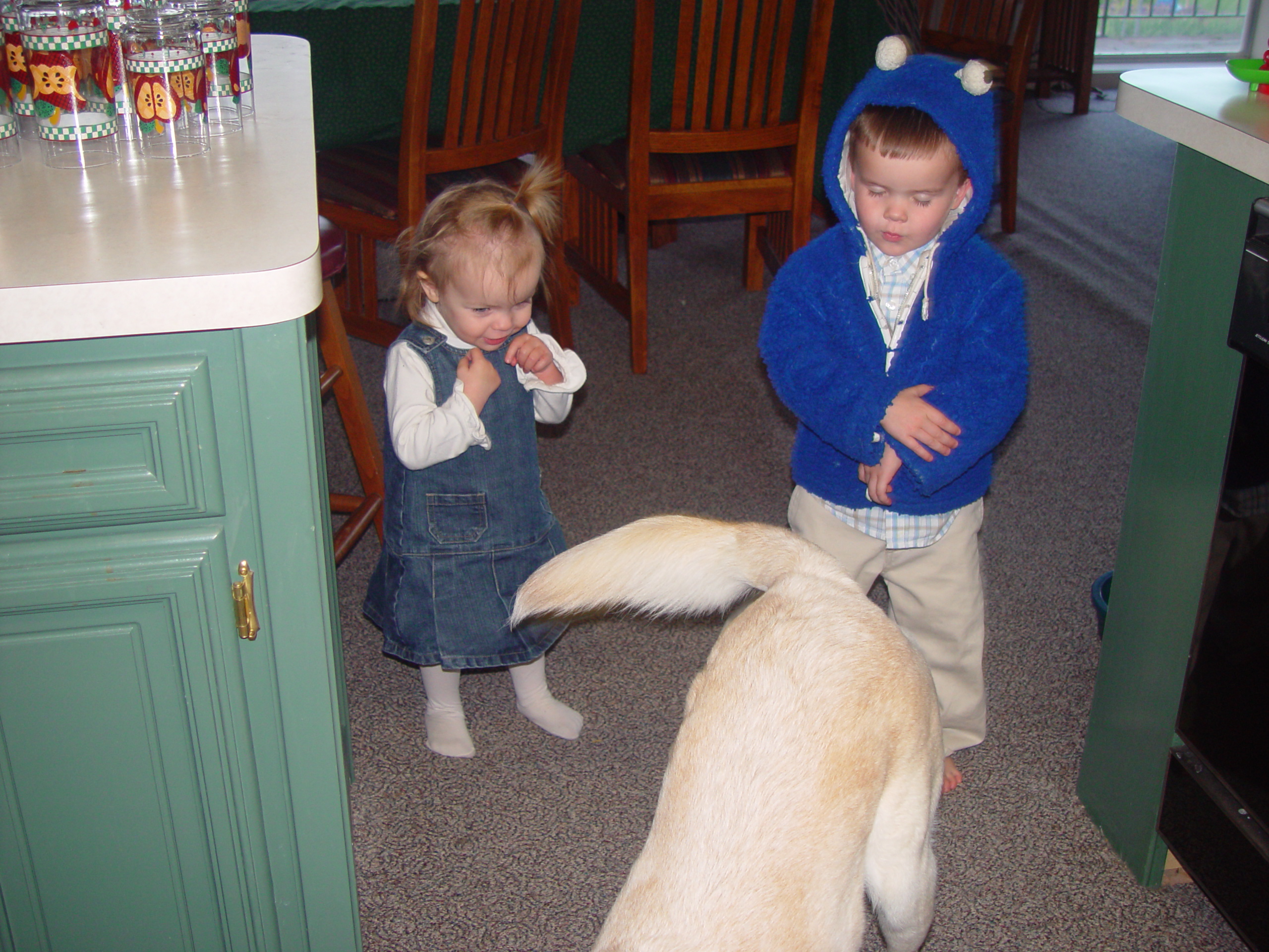 Memorial Day 2006 - Logan, Utah - Ballam BBQ, Snow at Bear Lake Cabin, Mortensens, Tennis