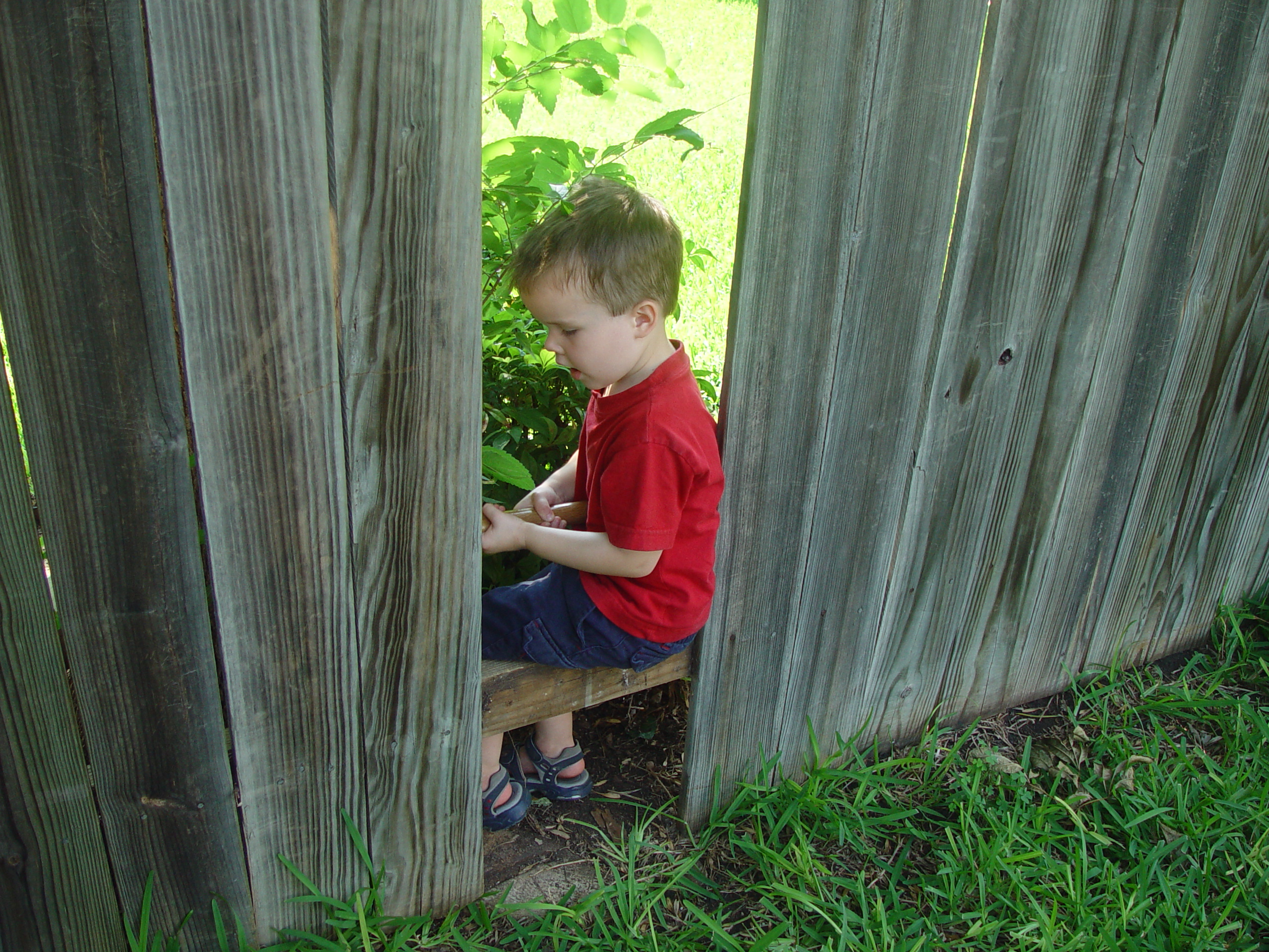 Ava Plays in the Peat Moss, Fixing the Fence, Round Rock Express Game, Surfer, Rabbit, and Monkey