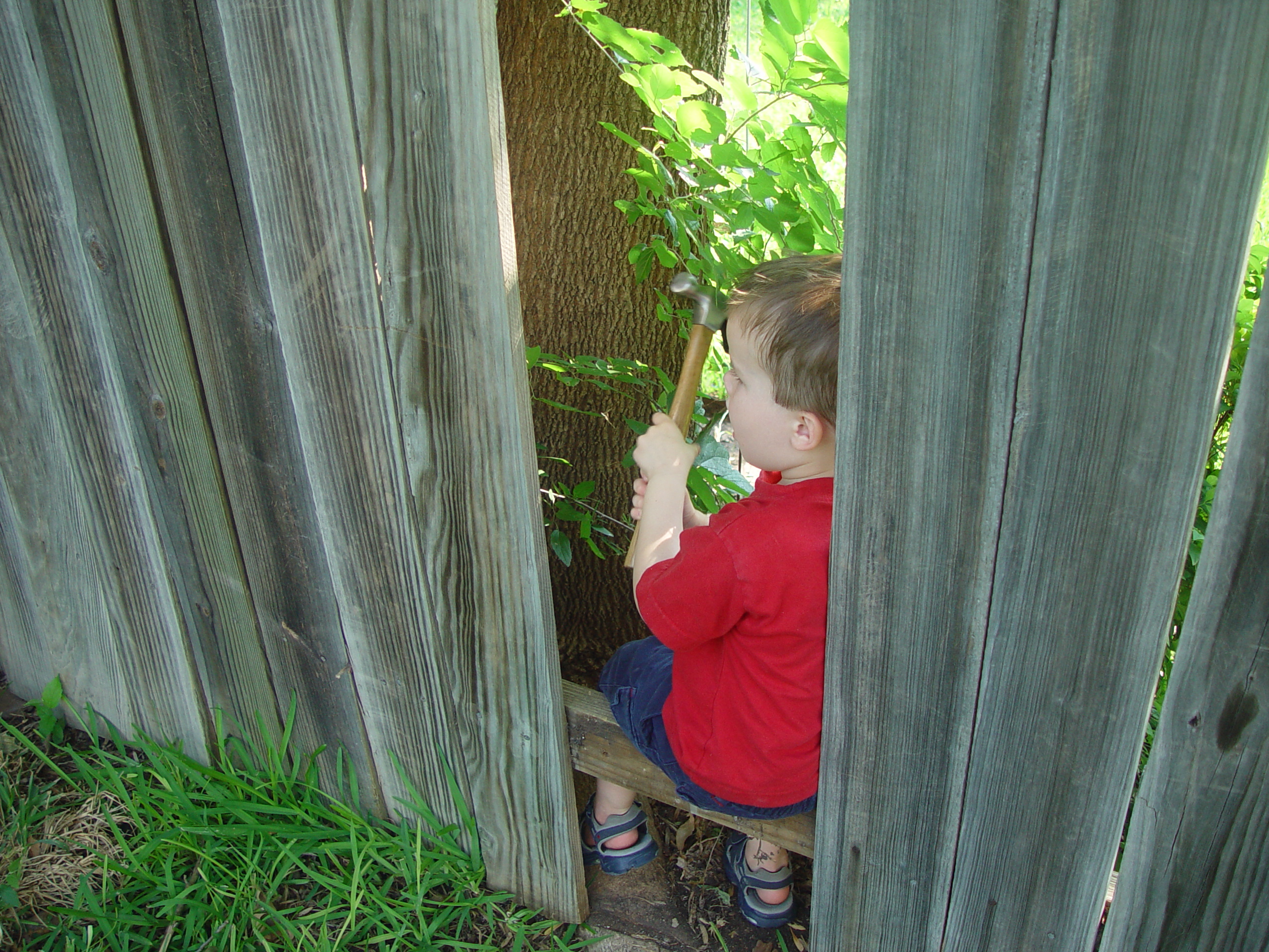 Ava Plays in the Peat Moss, Fixing the Fence, Round Rock Express Game, Surfer, Rabbit, and Monkey