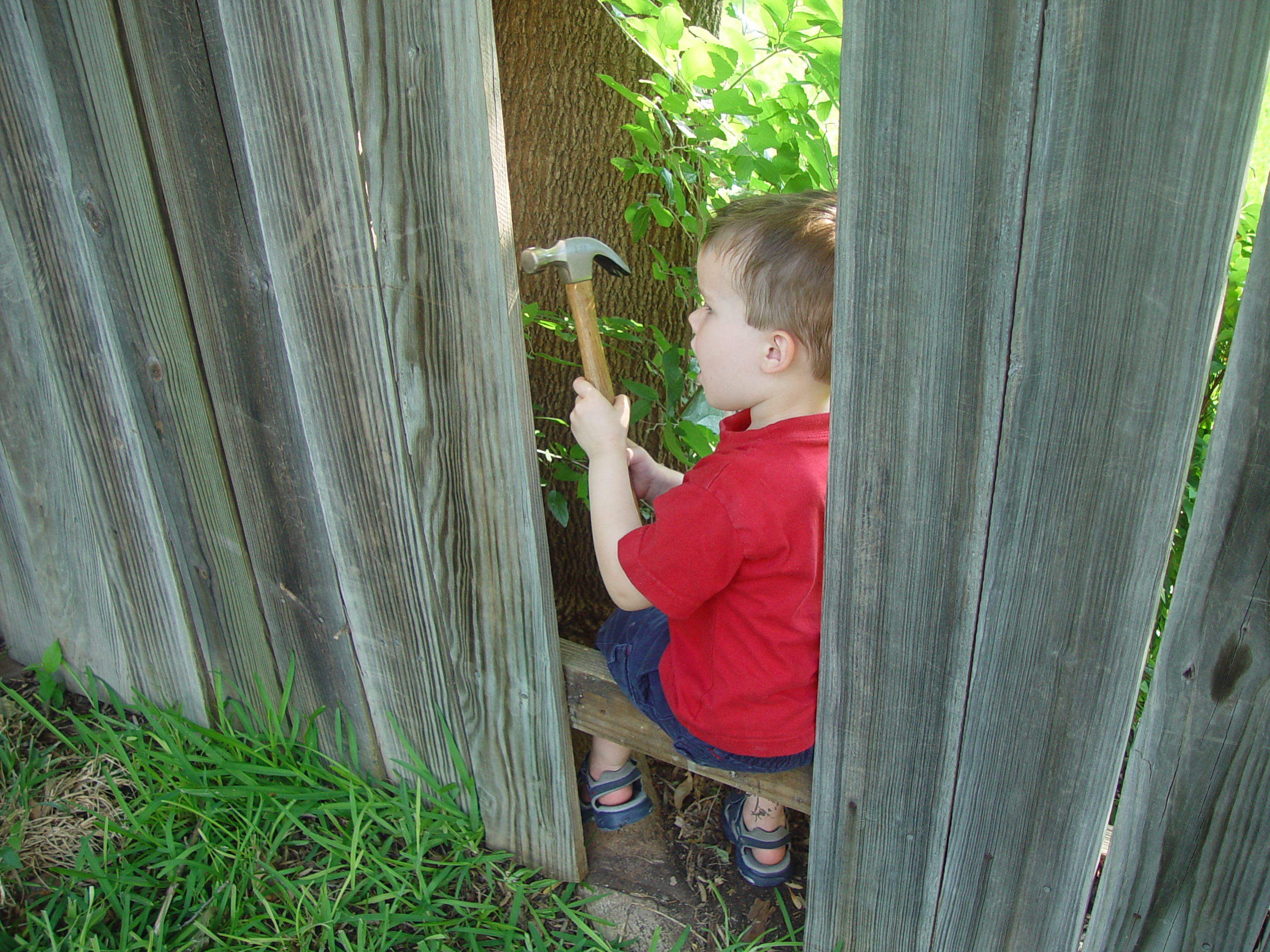 Ava Plays in the Peat Moss, Fixing the Fence, Round Rock Express Game, Surfer, Rabbit, and Monkey