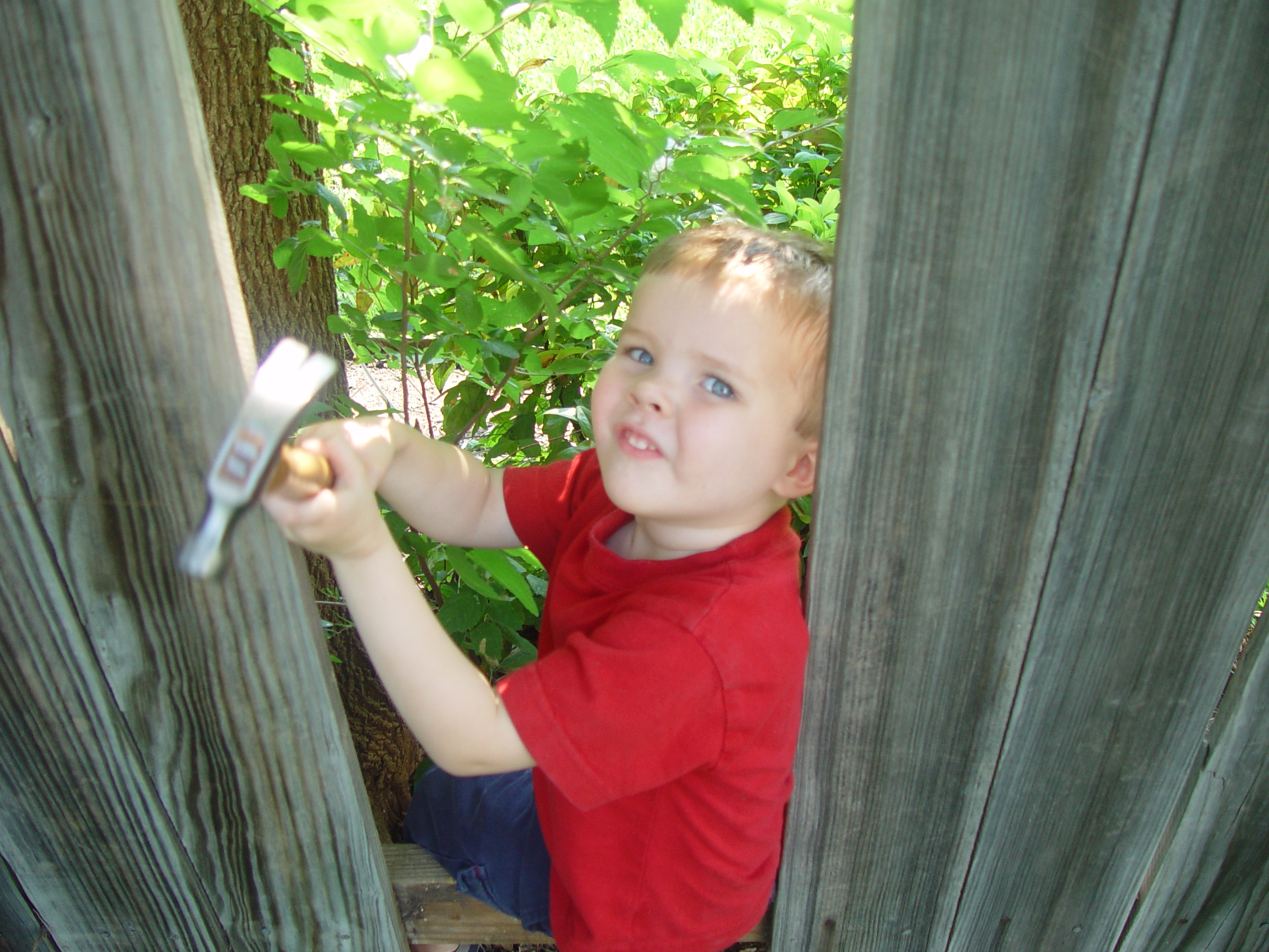 Ava Plays in the Peat Moss, Fixing the Fence, Round Rock Express Game, Surfer, Rabbit, and Monkey