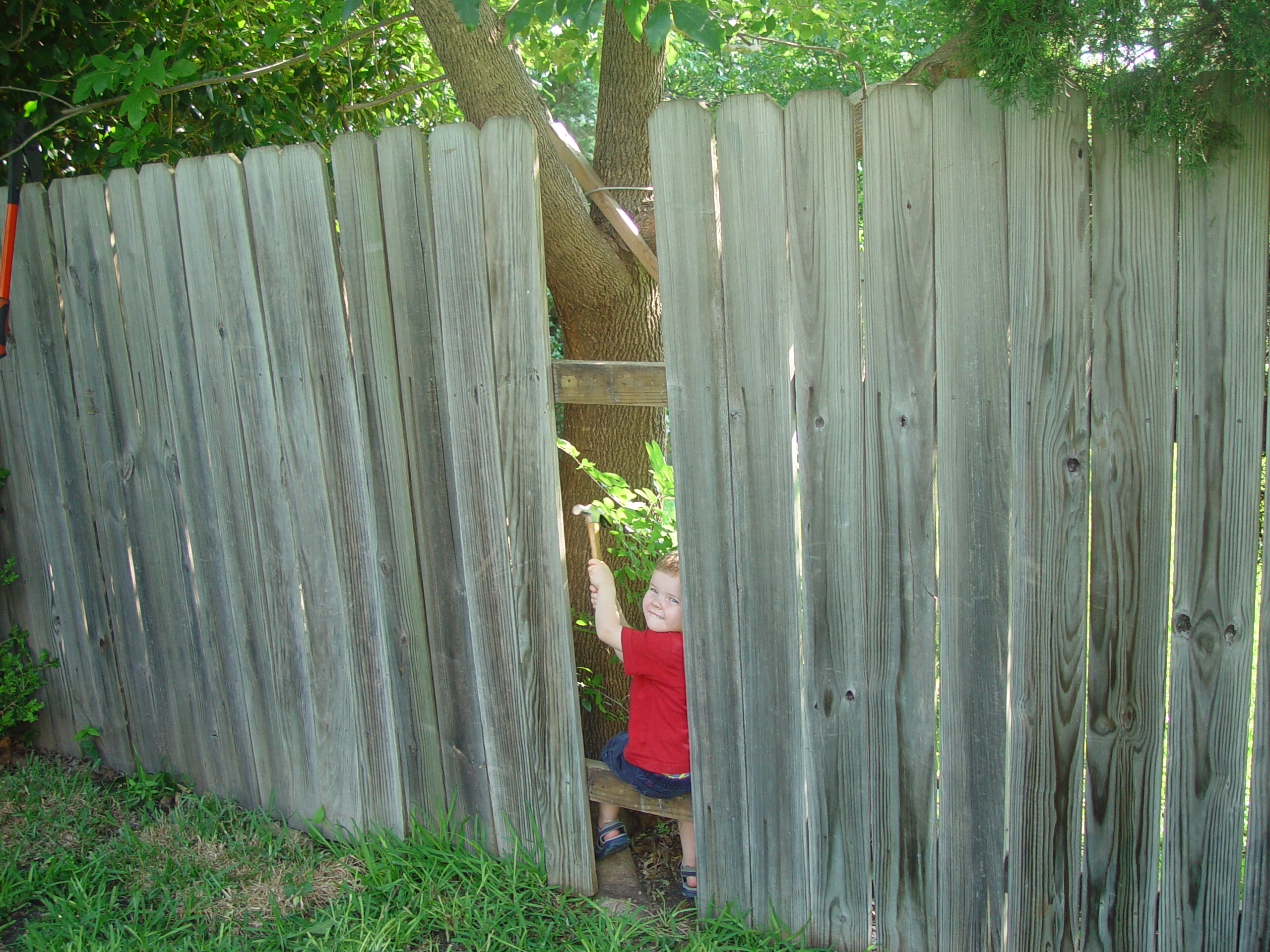 Ava Plays in the Peat Moss, Fixing the Fence, Round Rock Express Game, Surfer, Rabbit, and Monkey