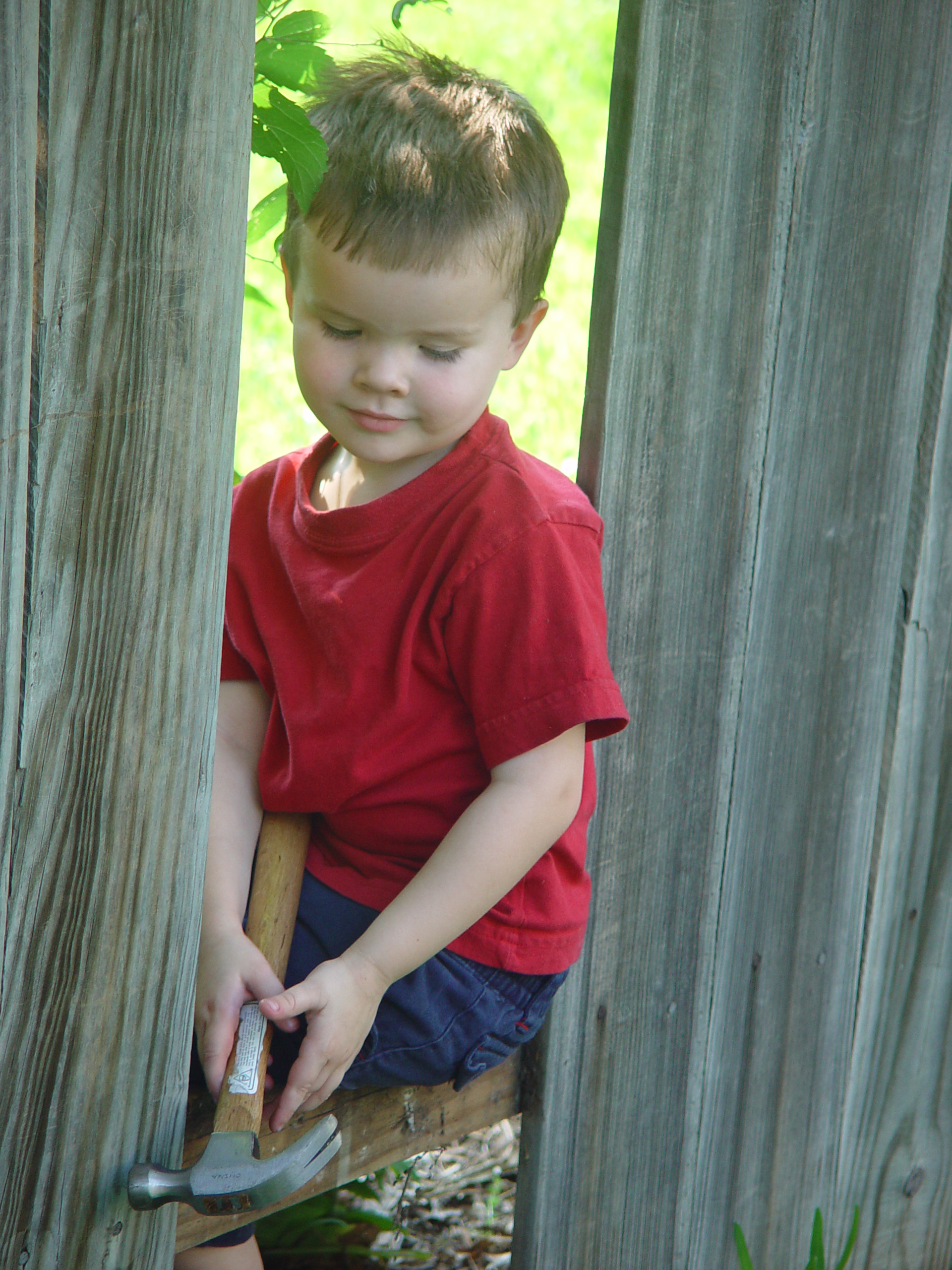 Ava Plays in the Peat Moss, Fixing the Fence, Round Rock Express Game, Surfer, Rabbit, and Monkey