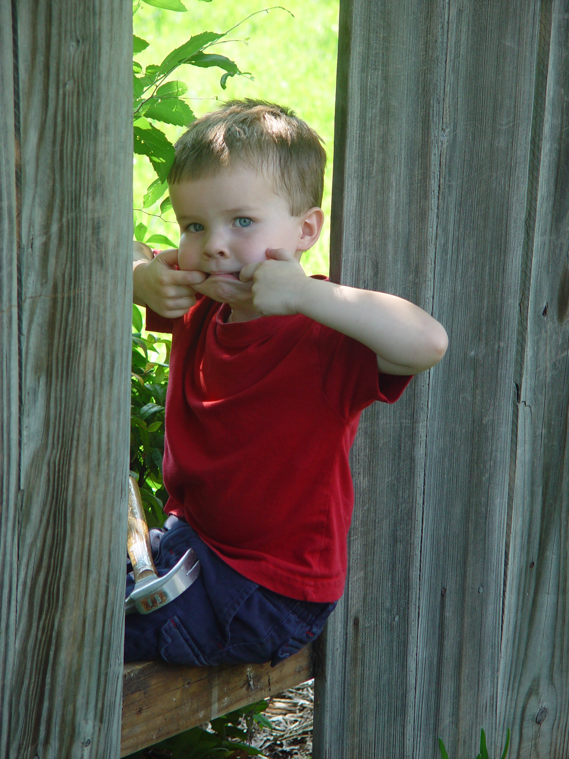 Ava Plays in the Peat Moss, Fixing the Fence, Round Rock Express Game, Surfer, Rabbit, and Monkey