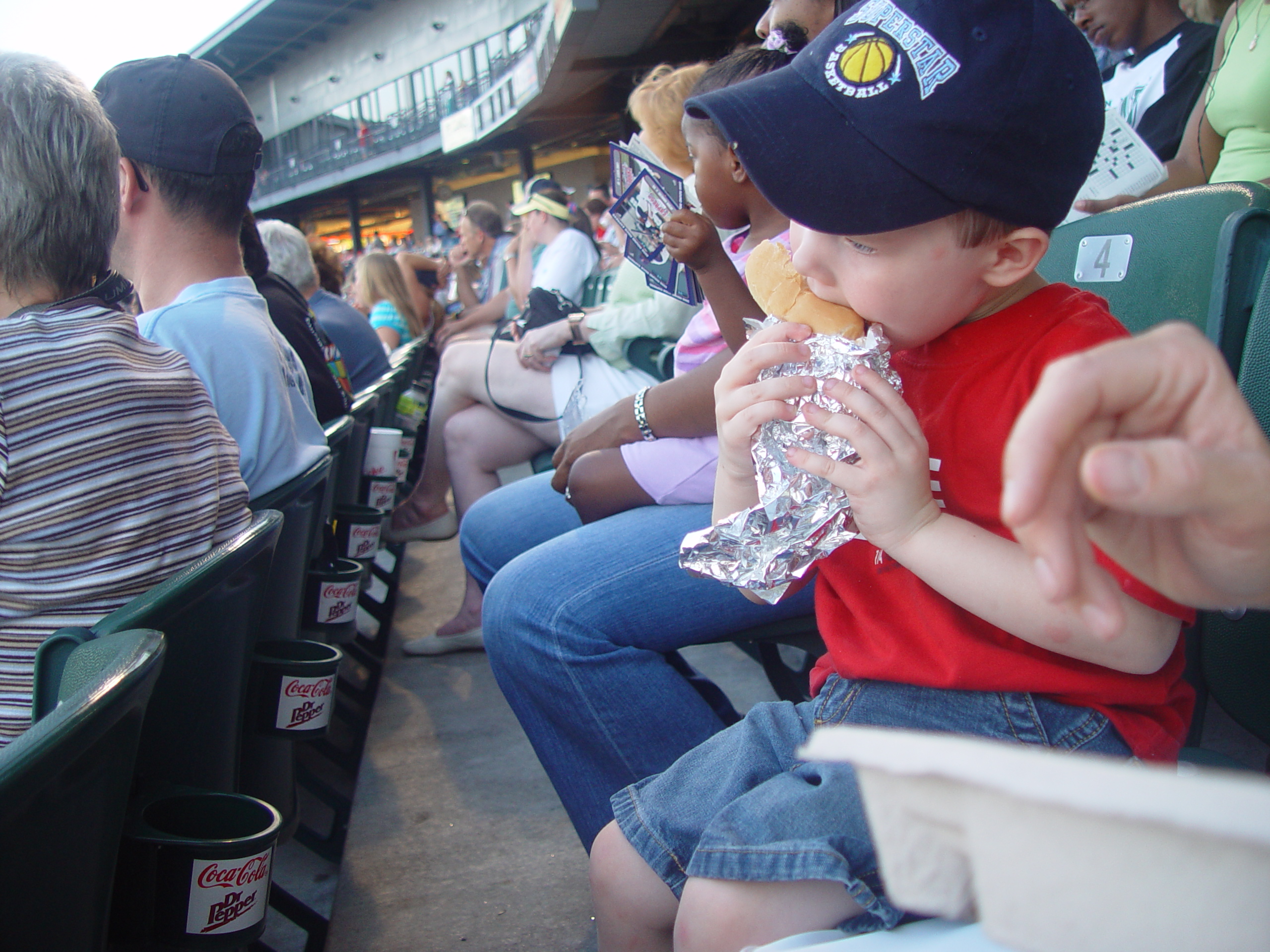 Ava Plays in the Peat Moss, Fixing the Fence, Round Rock Express Game, Surfer, Rabbit, and Monkey