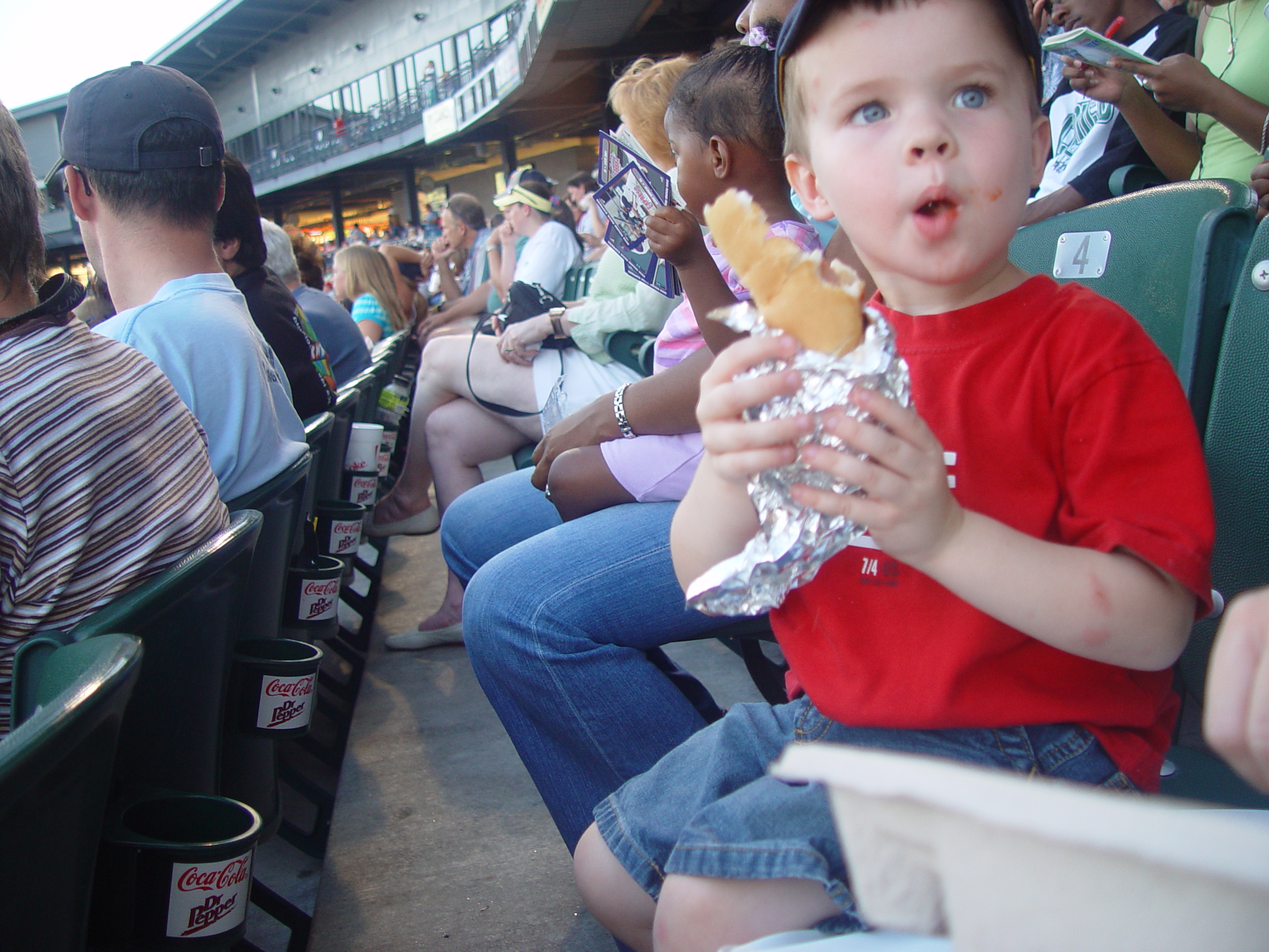 Ava Plays in the Peat Moss, Fixing the Fence, Round Rock Express Game, Surfer, Rabbit, and Monkey