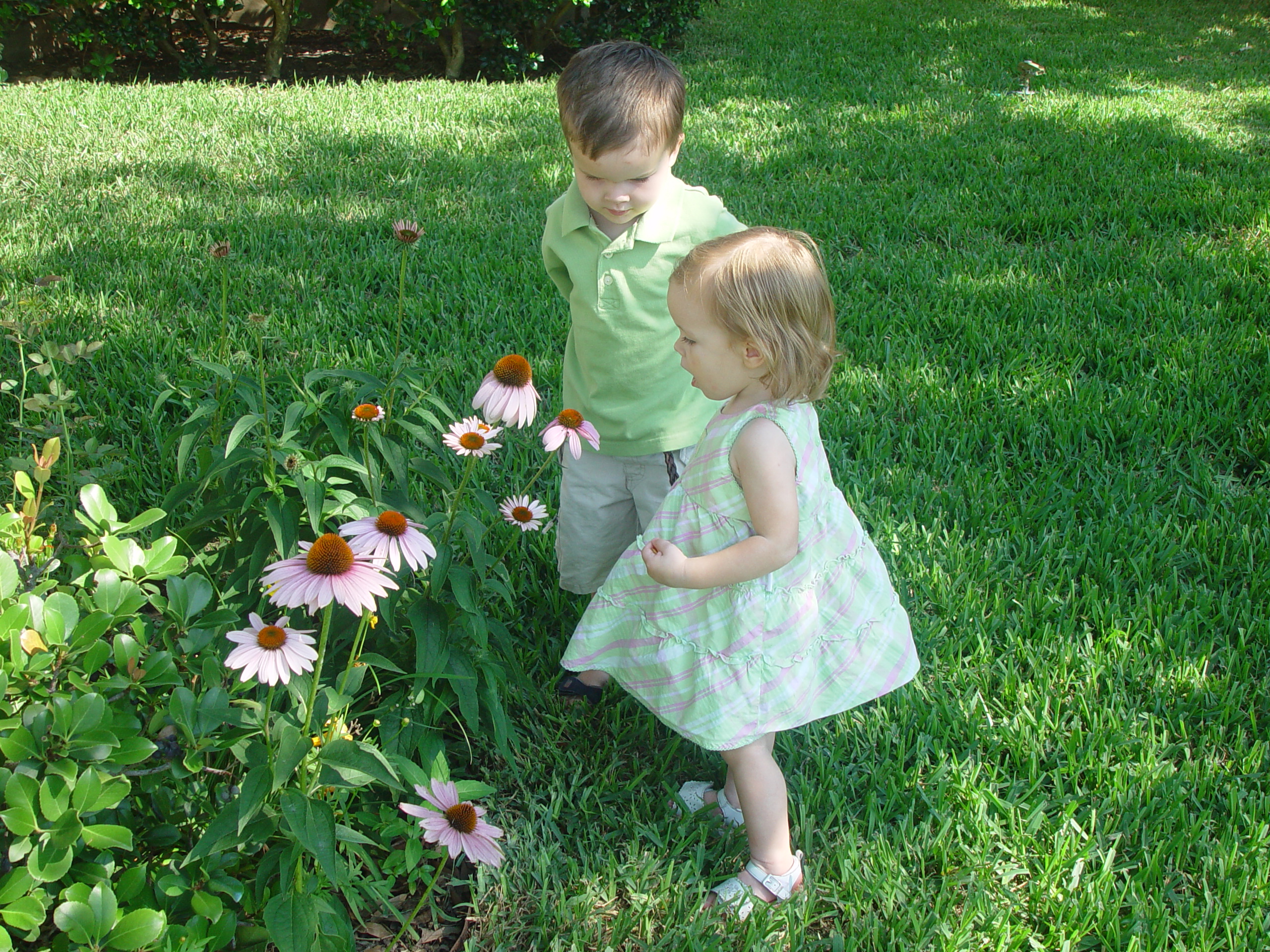 Ava Plays in the Peat Moss, Fixing the Fence, Round Rock Express Game, Surfer, Rabbit, and Monkey