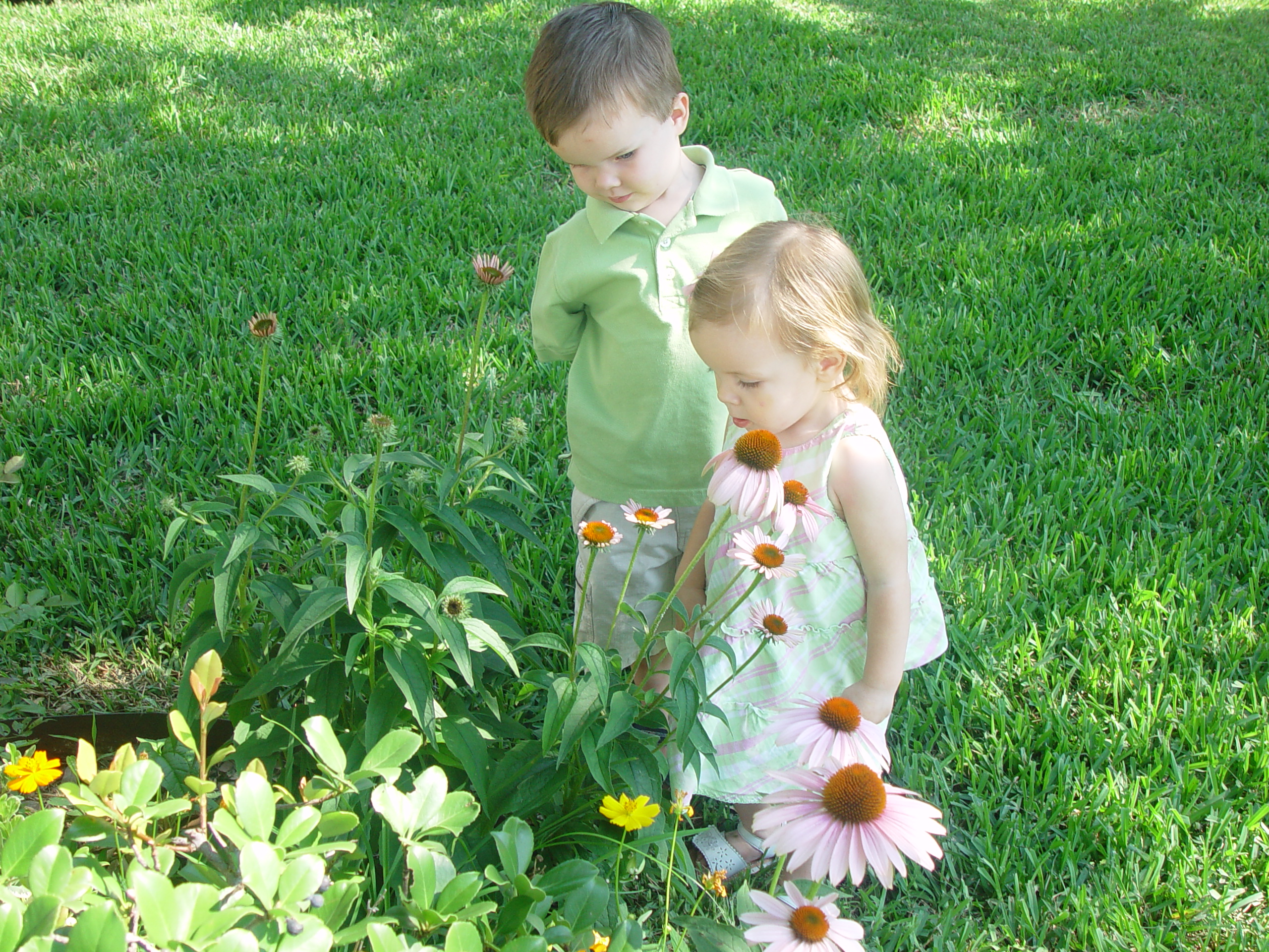 Ava Plays in the Peat Moss, Fixing the Fence, Round Rock Express Game, Surfer, Rabbit, and Monkey