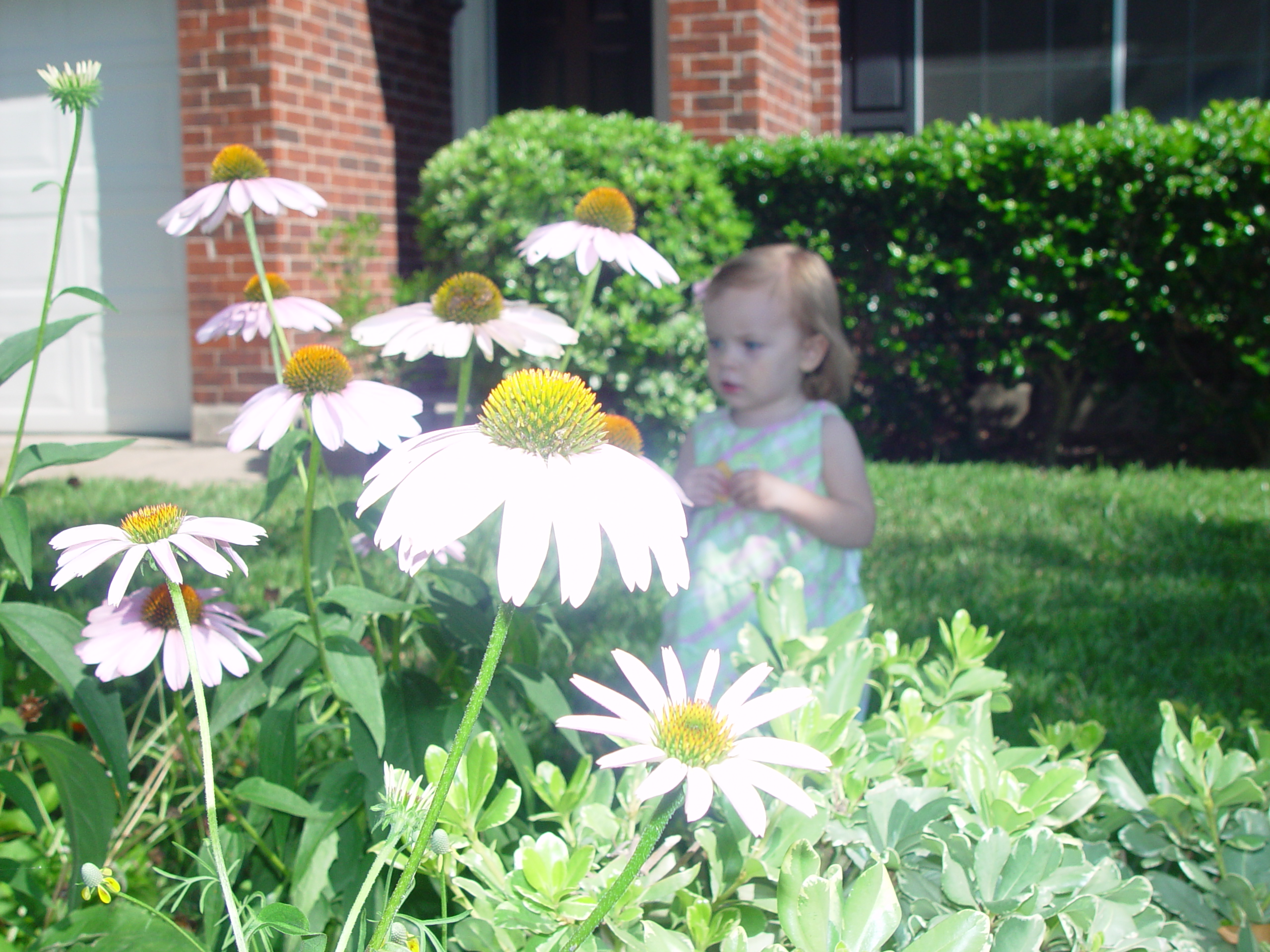 Ava Plays in the Peat Moss, Fixing the Fence, Round Rock Express Game, Surfer, Rabbit, and Monkey