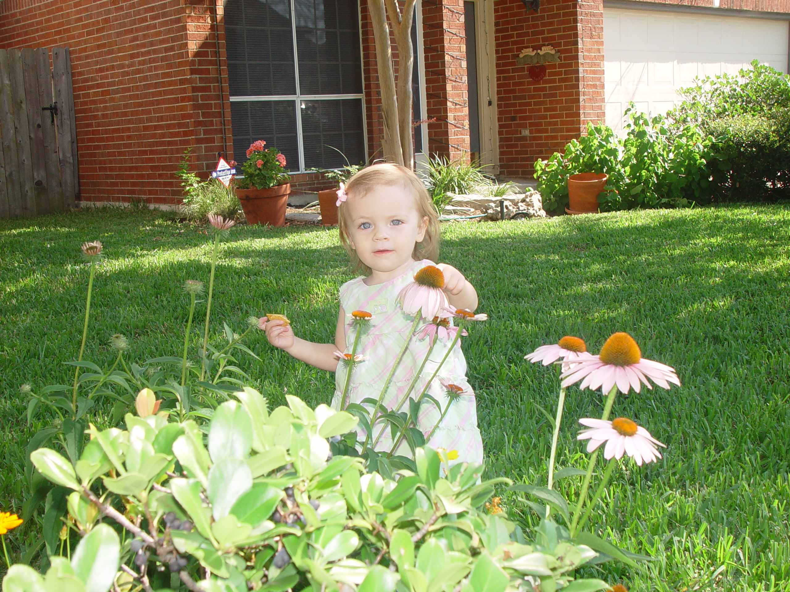 Ava Plays in the Peat Moss, Fixing the Fence, Round Rock Express Game, Surfer, Rabbit, and Monkey