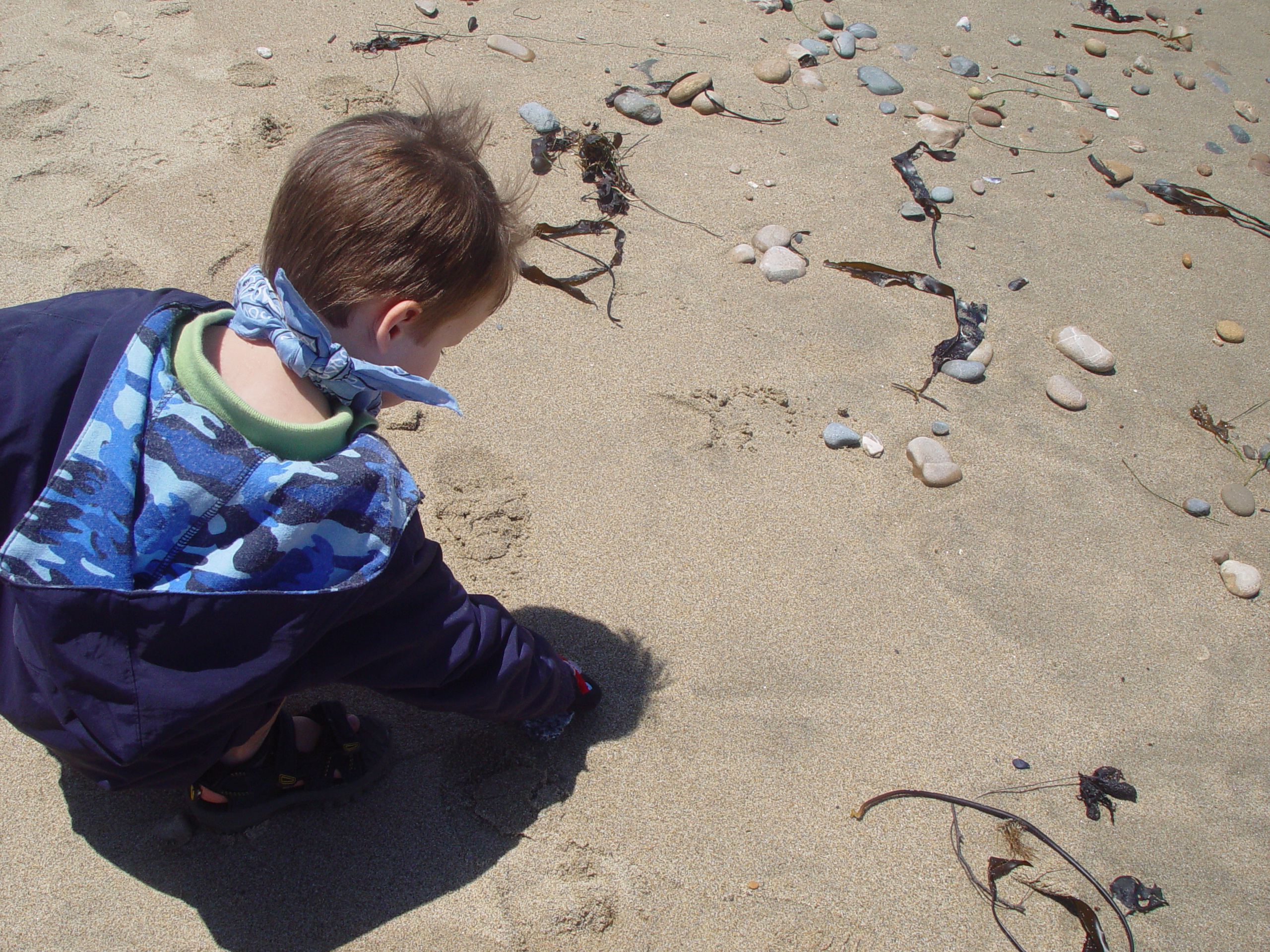 Visiting Grandma & Grandpa Palmer - Castro Valley, California (Half Moon Bay, Cyclops, BART, J.D.'s Blueberry Pancakes)