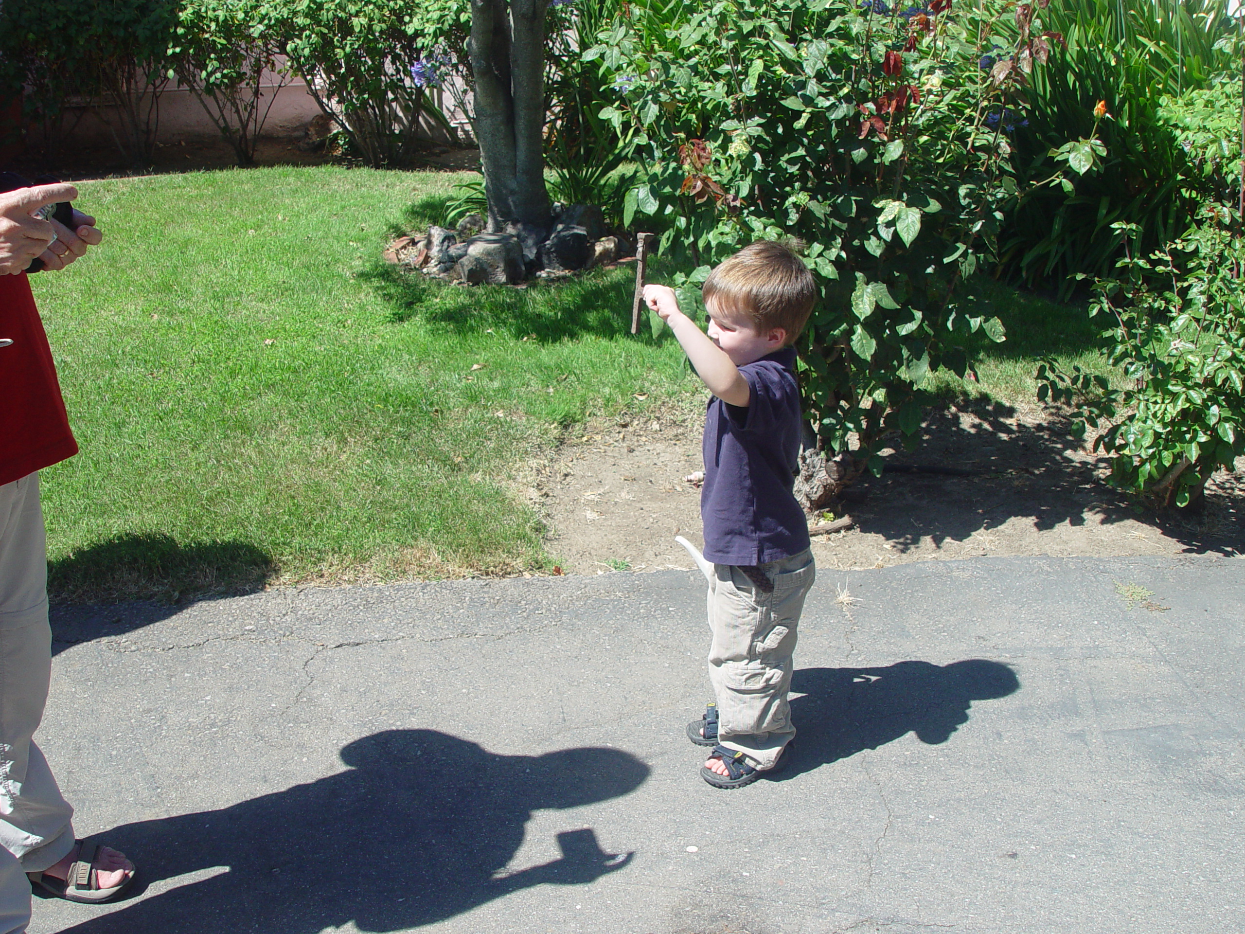Visiting Grandma & Grandpa Palmer - Castro Valley, California (Half Moon Bay, Cyclops, BART, J.D.'s Blueberry Pancakes)