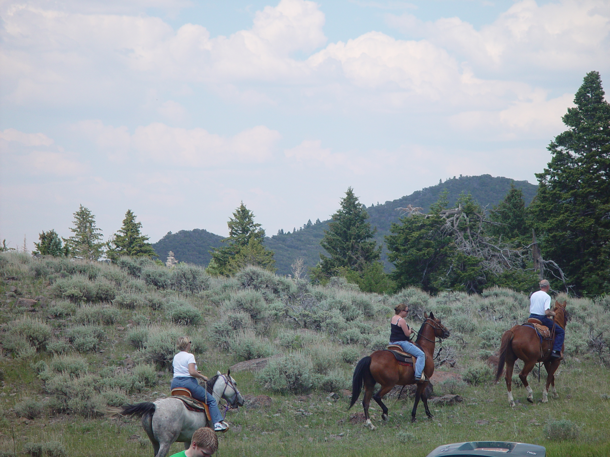 Mitchell Reunion 2006 - Parowan, Utah