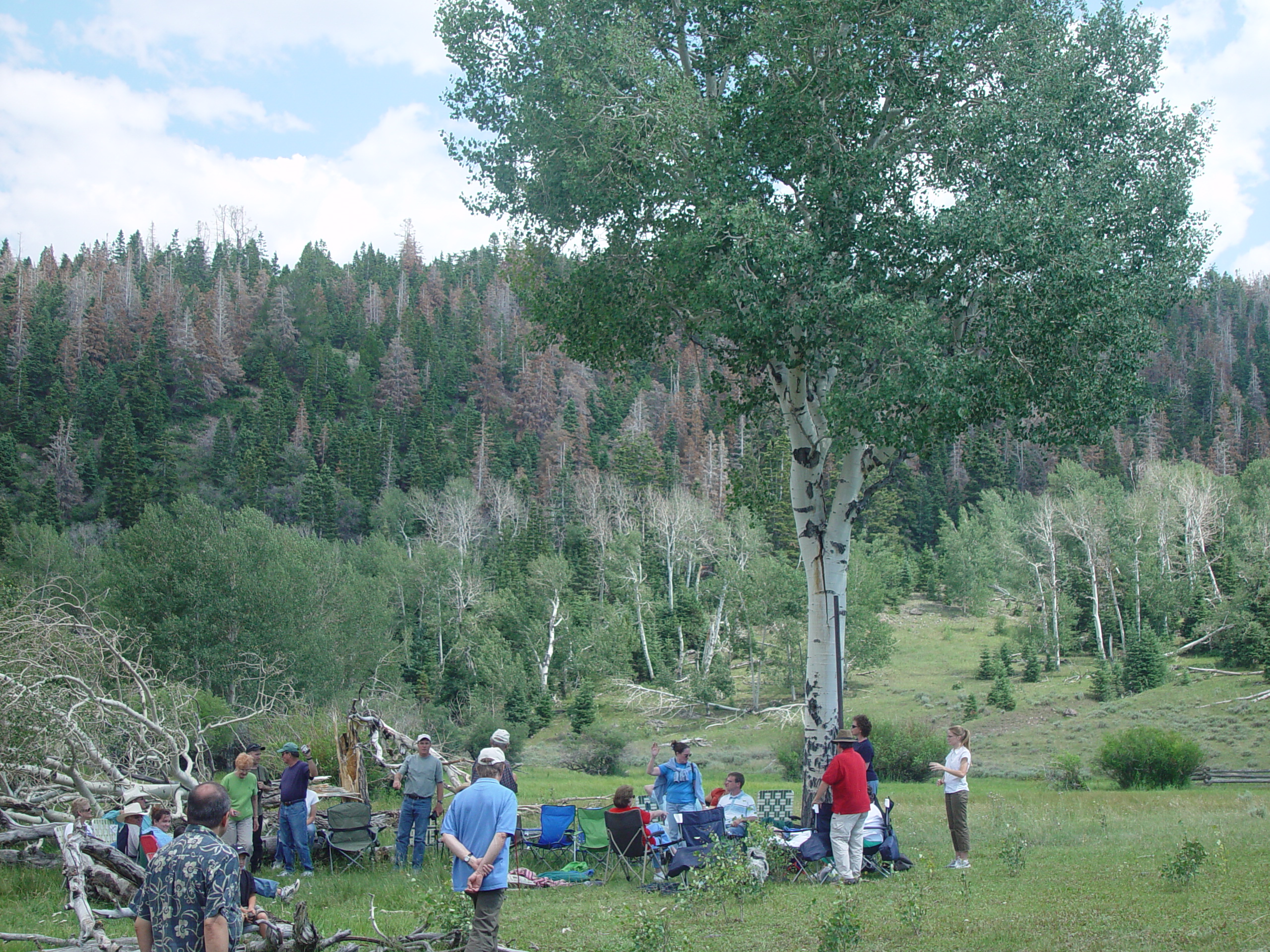 Mitchell Reunion 2006 - Parowan, Utah