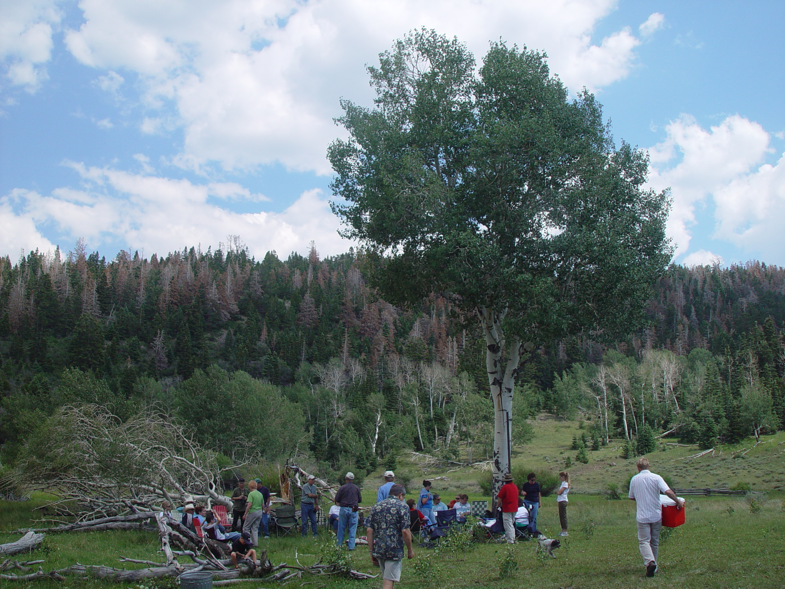 Mitchell Reunion 2006 - Parowan, Utah