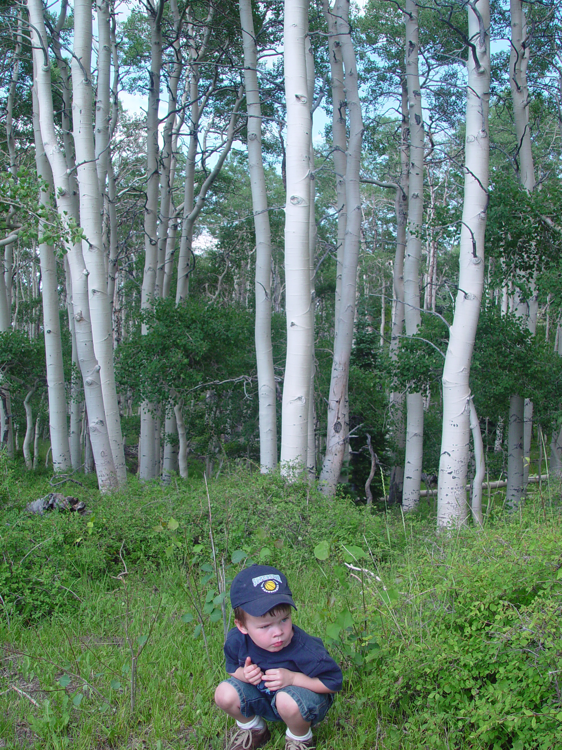 Mitchell Reunion 2006 - Parowan, Utah