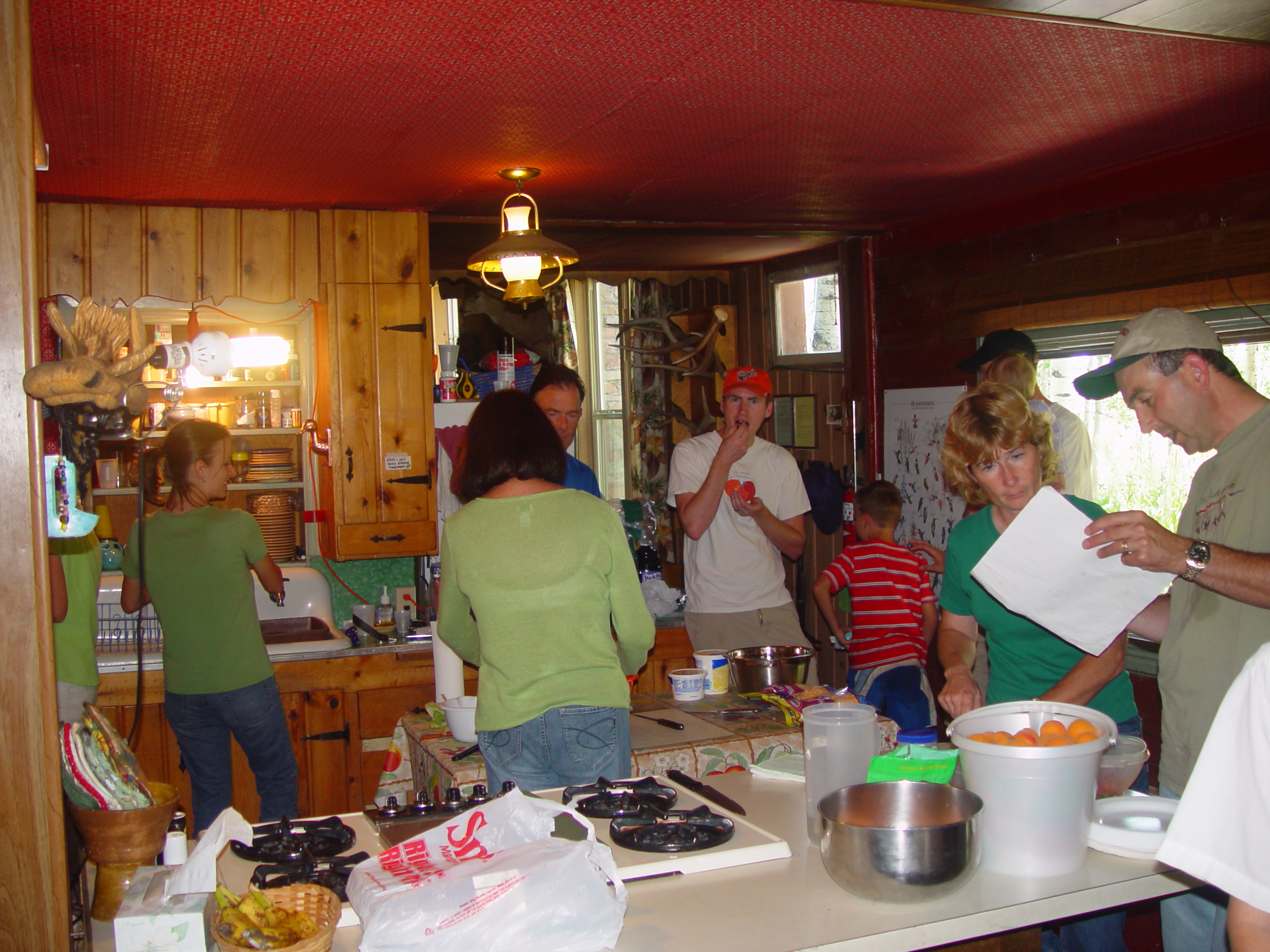 2006 Israelsen Reunion