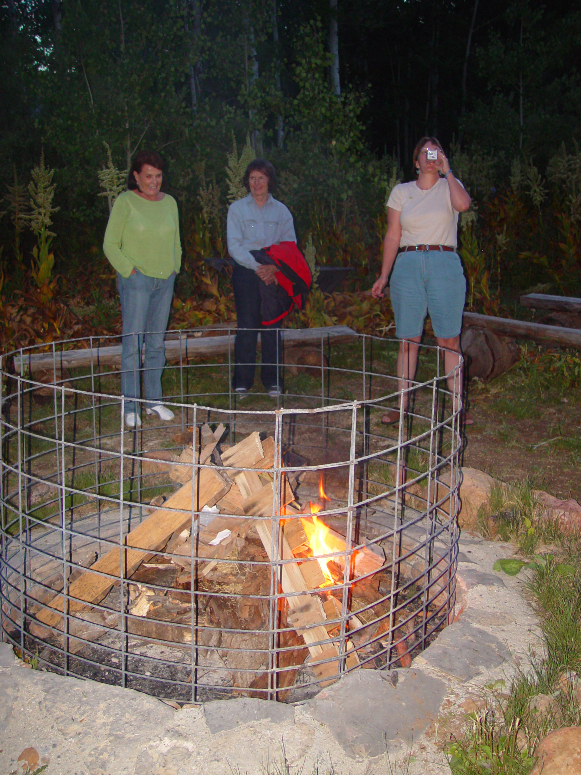 2006 Israelsen Reunion