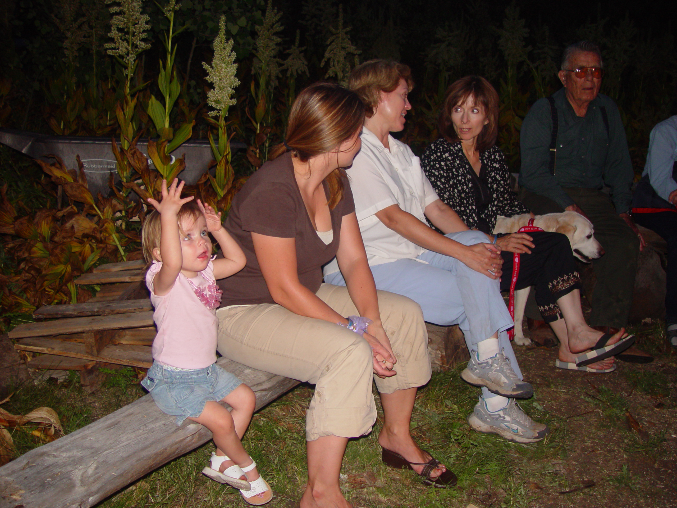 2006 Israelsen Reunion