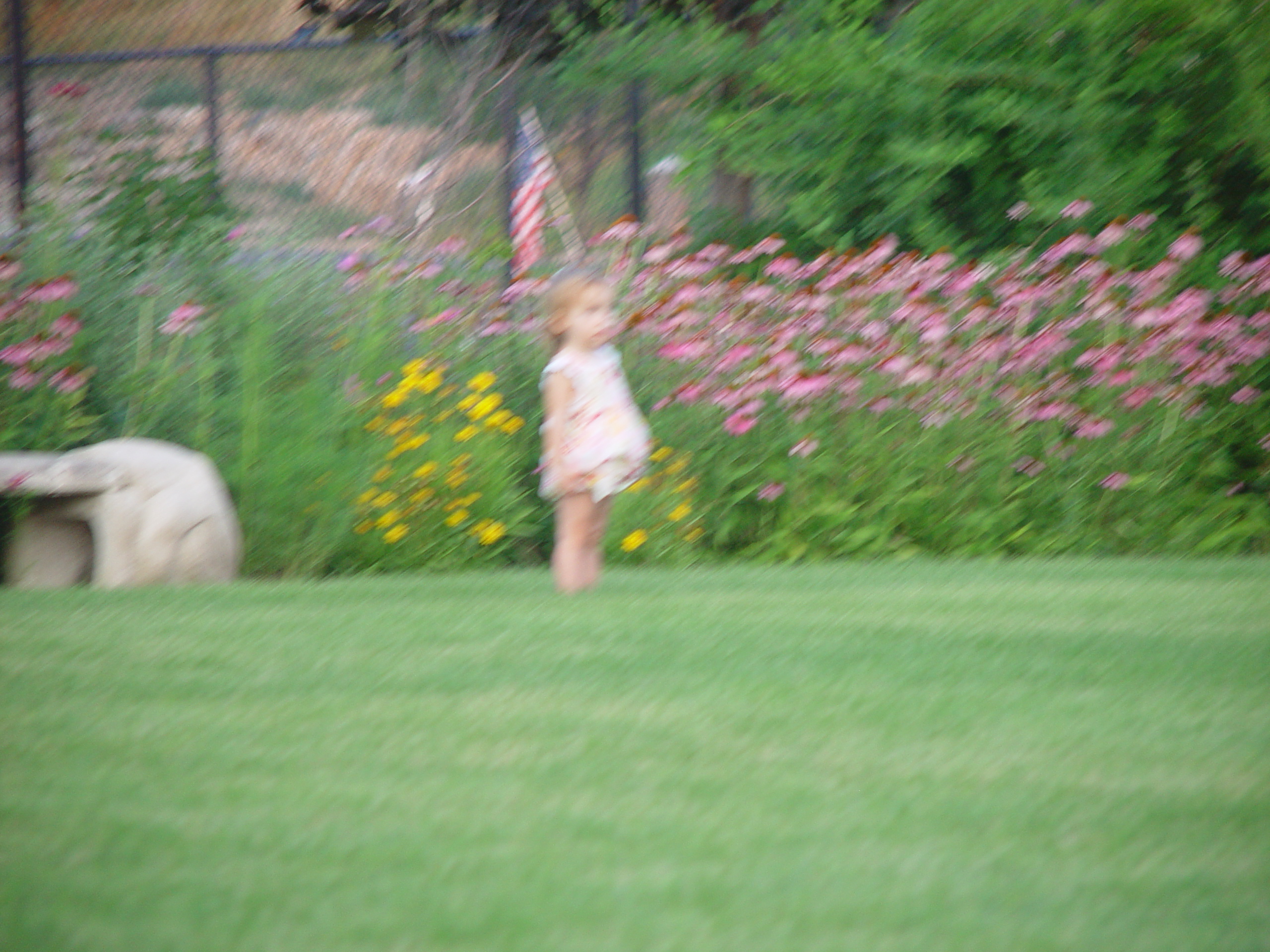 Pioneer Day Parade (Logan, Utah), Ballam Party (Mentos / Diet Coke Experiment), Fireworks, Grandpa Israelsen