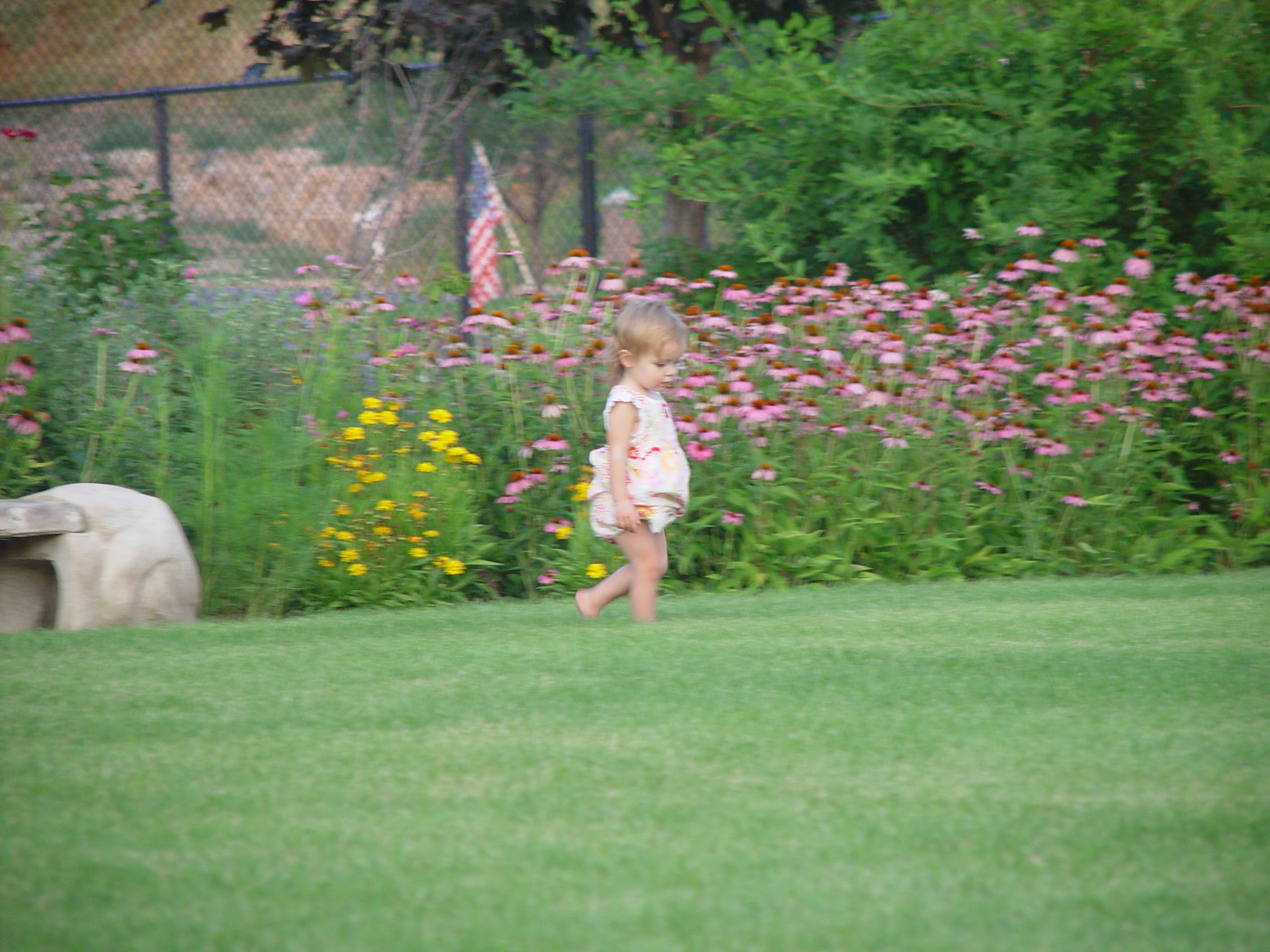 Pioneer Day Parade (Logan, Utah), Ballam Party (Mentos / Diet Coke Experiment), Fireworks, Grandpa Israelsen