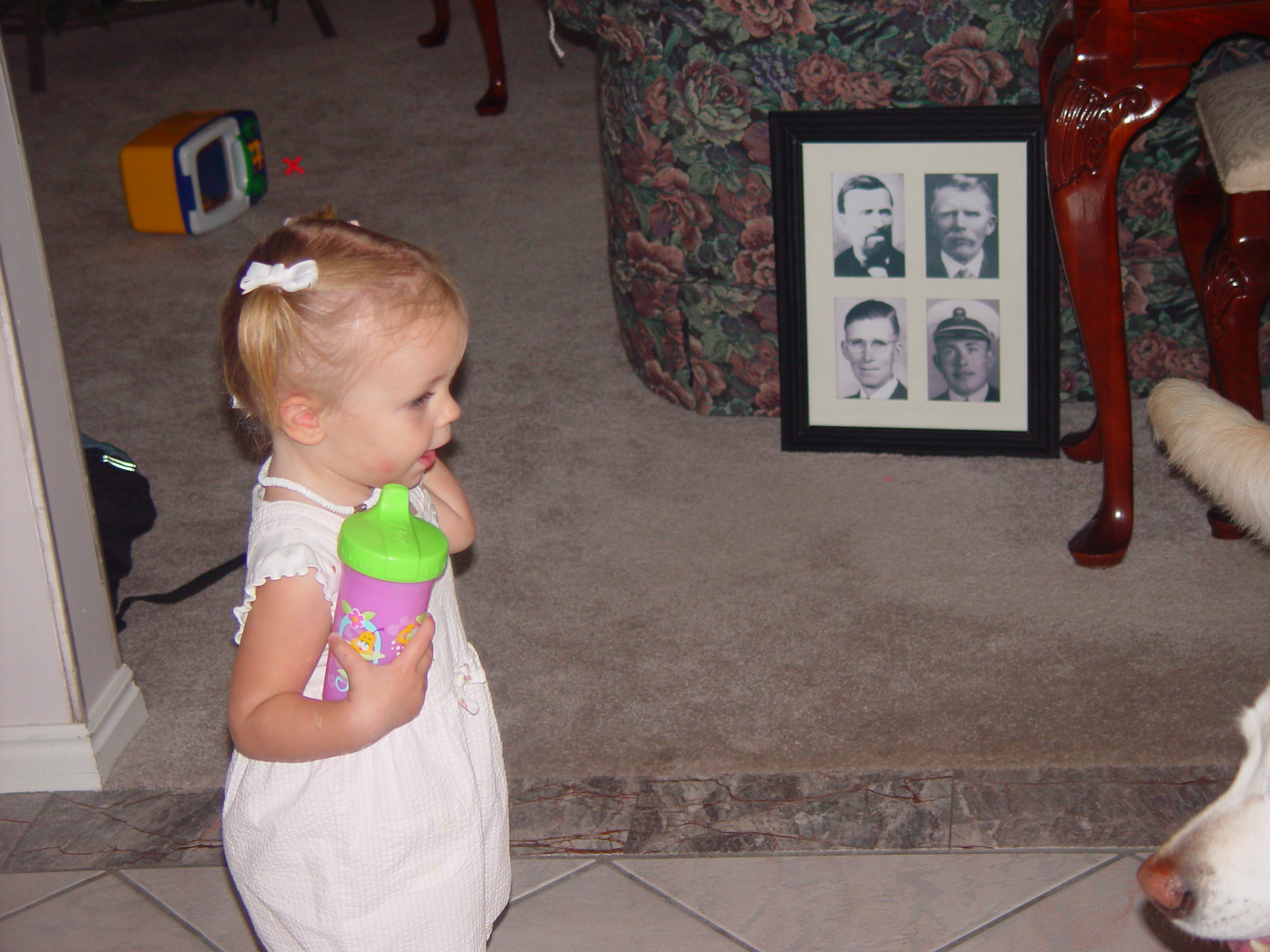 Pioneer Day Parade (Logan, Utah), Ballam Party (Mentos / Diet Coke Experiment), Fireworks, Grandpa Israelsen