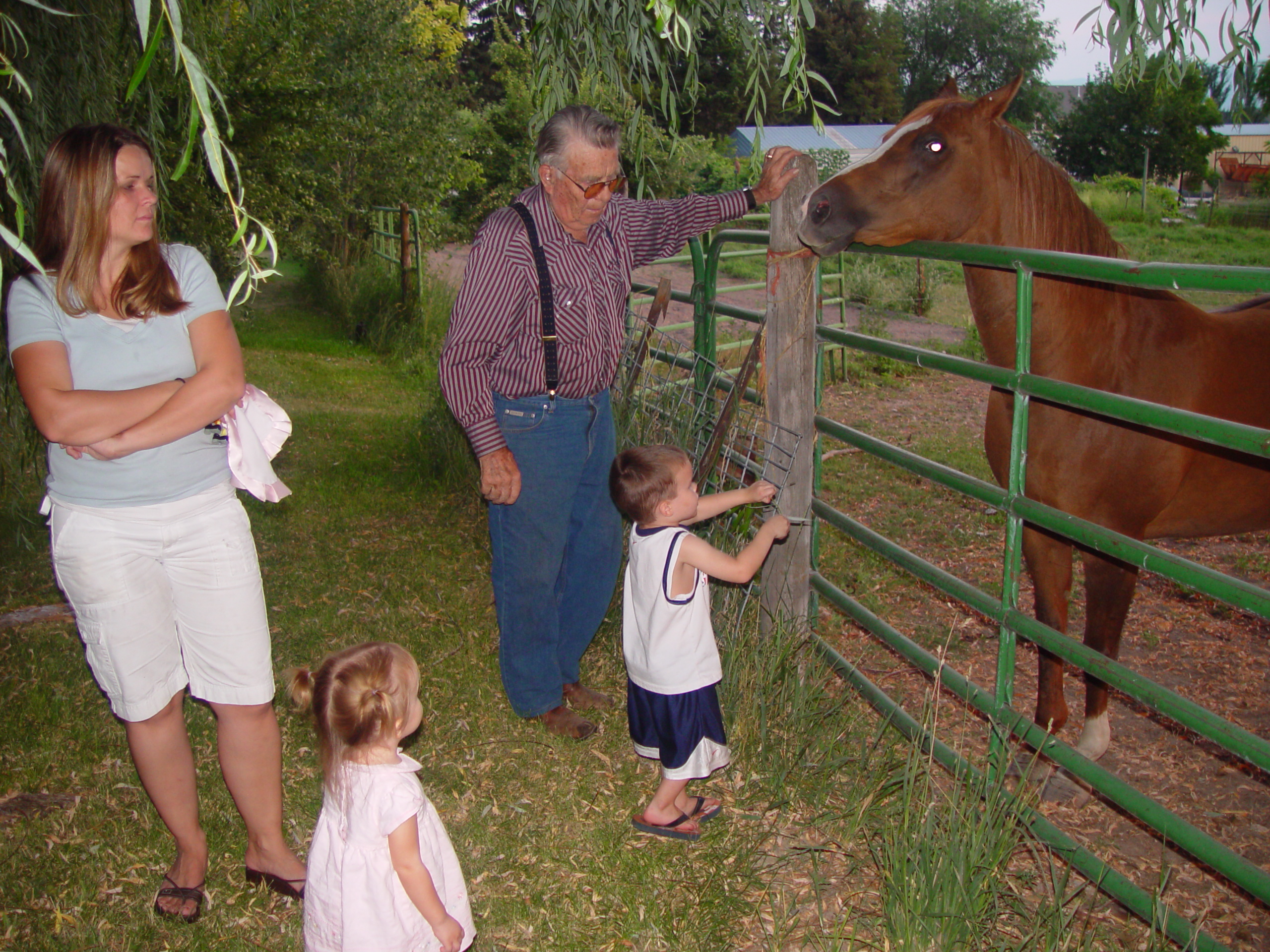 Pioneer Day Parade (Logan, Utah), Ballam Party (Mentos / Diet Coke Experiment), Fireworks, Grandpa Israelsen