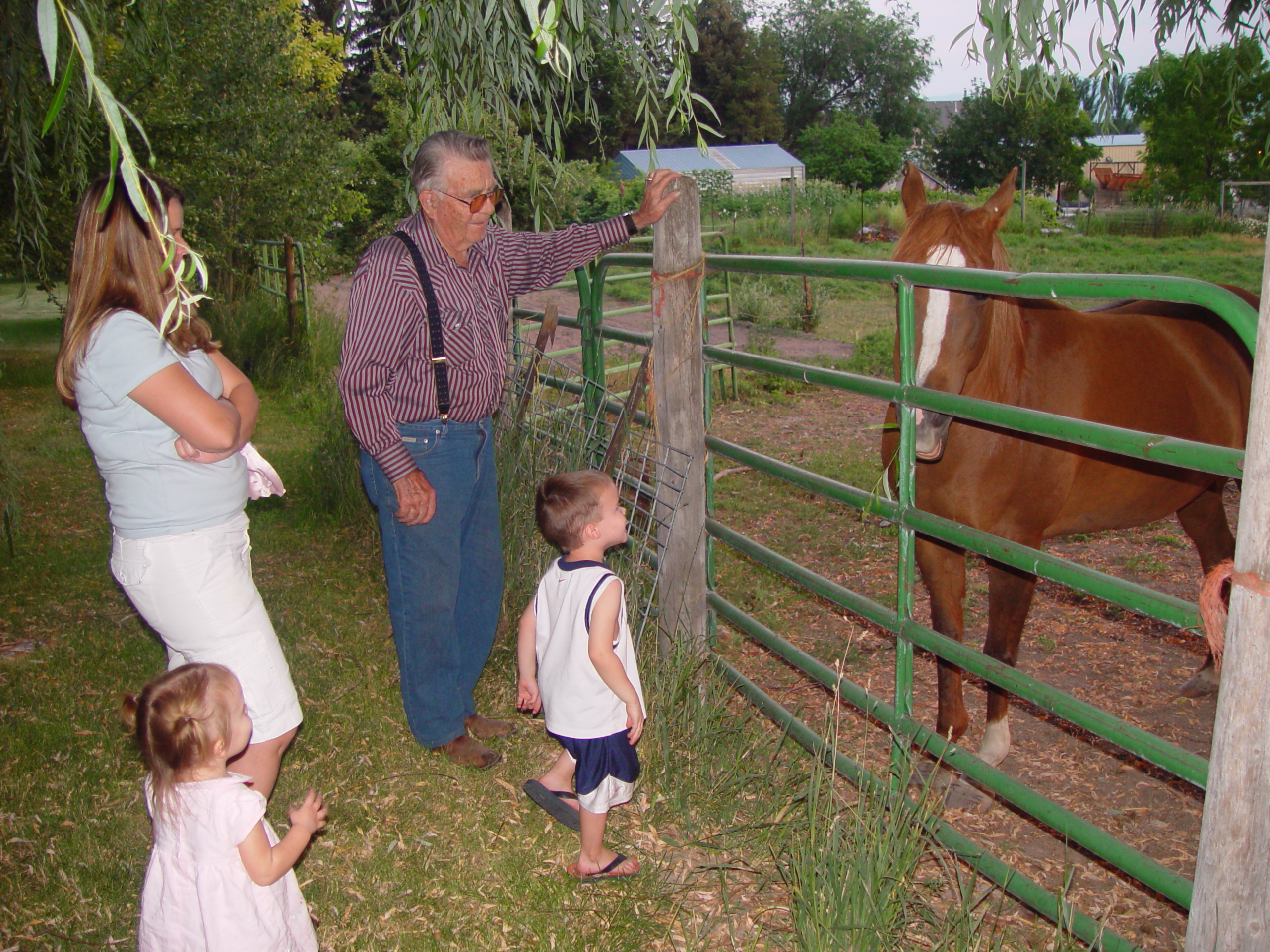 Pioneer Day Parade (Logan, Utah), Ballam Party (Mentos / Diet Coke Experiment), Fireworks, Grandpa Israelsen