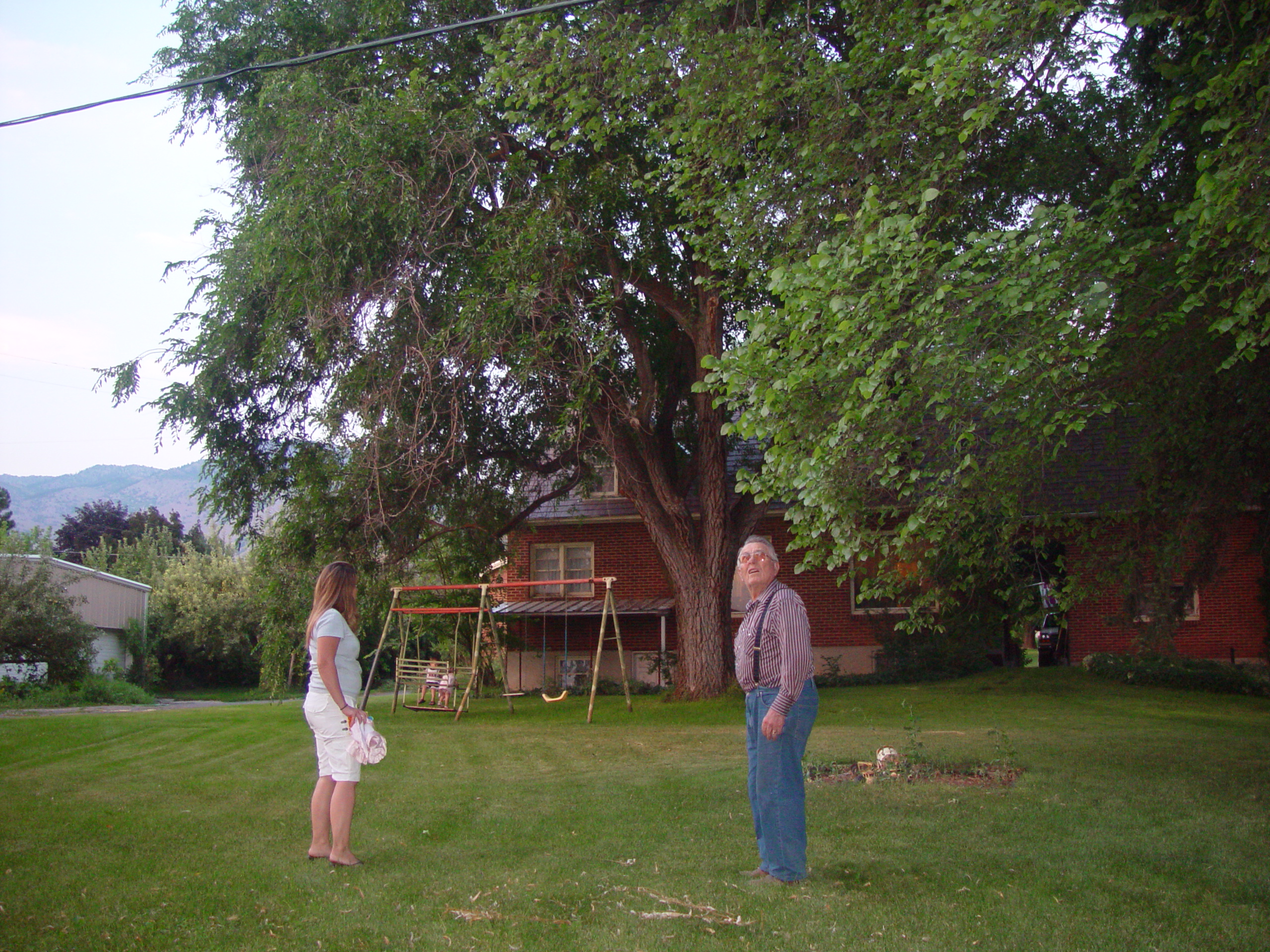 Pioneer Day Parade (Logan, Utah), Ballam Party (Mentos / Diet Coke Experiment), Fireworks, Grandpa Israelsen