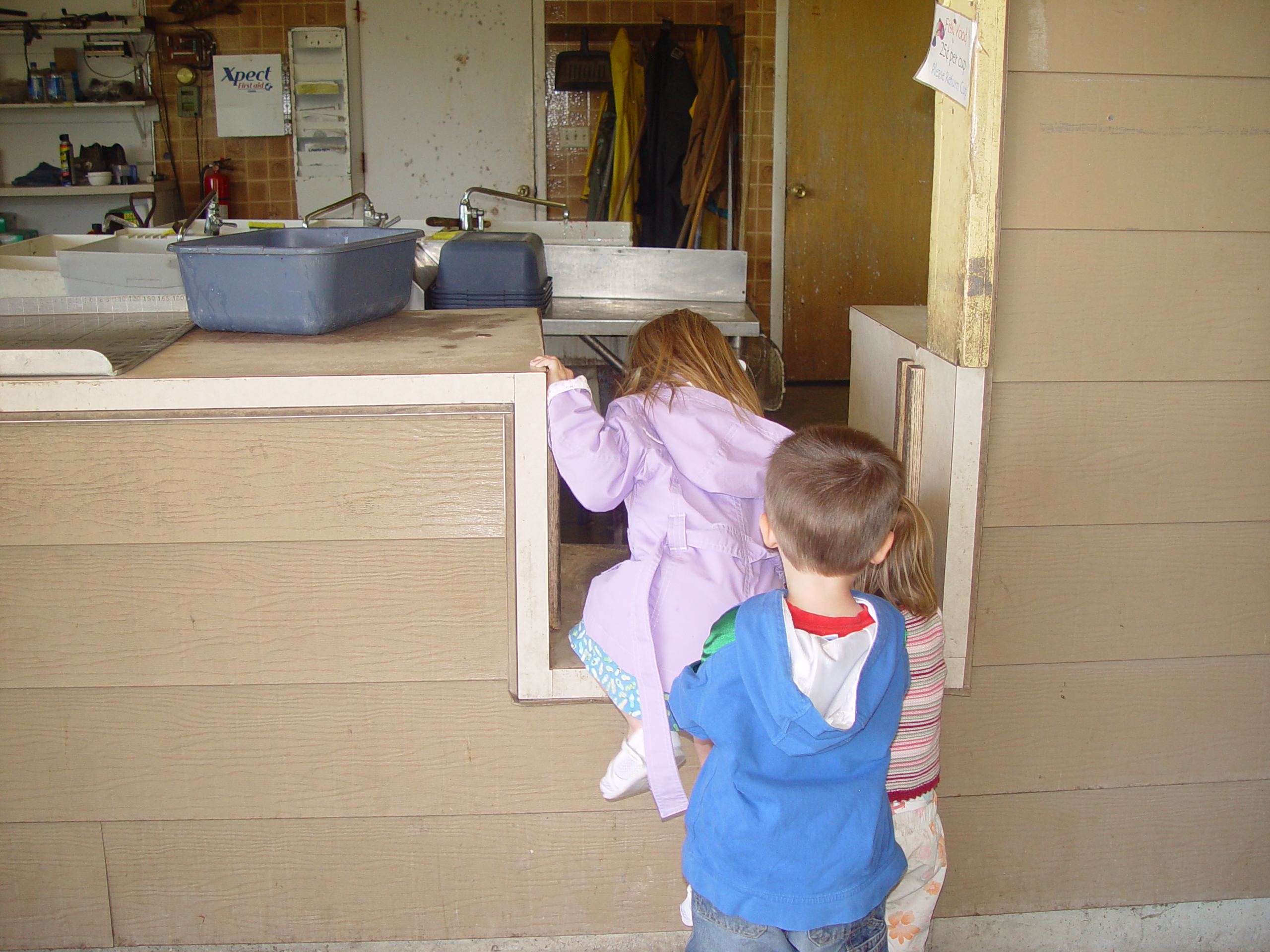 The Red Iguana (Salt Lake City, Utah), Trout Fishing with Mason and Sydney (Pleasant View, Utah), Making Jam